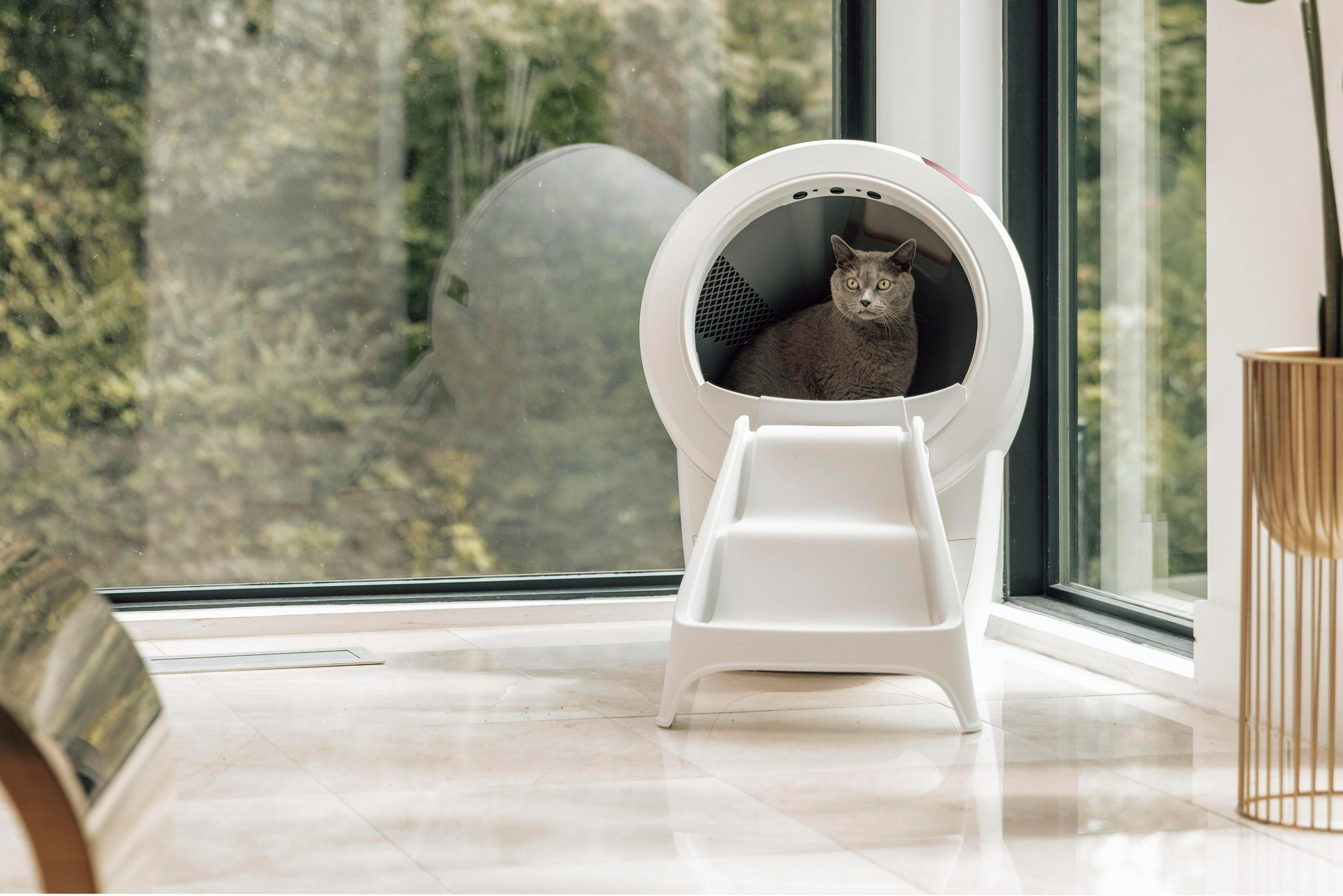 Eine graue Katze sitzt in einer weißen selbstreinigenden Katzentoilette mit Blick nach draußen.