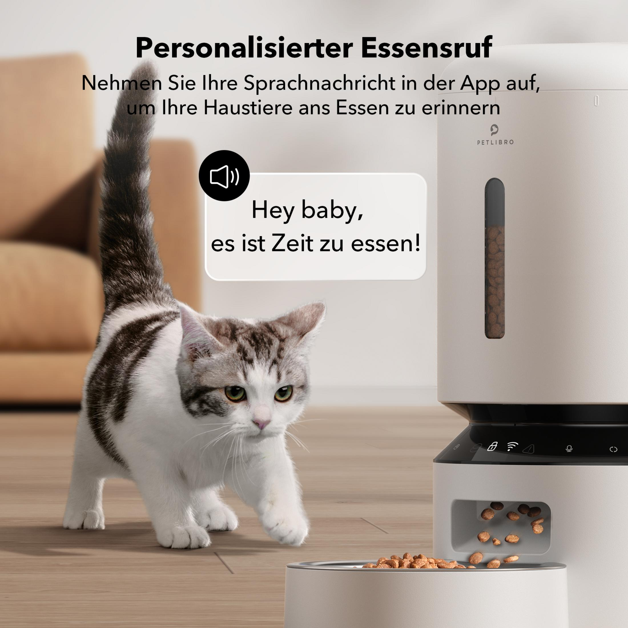 Eine Katze nähert sich einem Futterautomaten, auf dem eine Nachricht steht.
