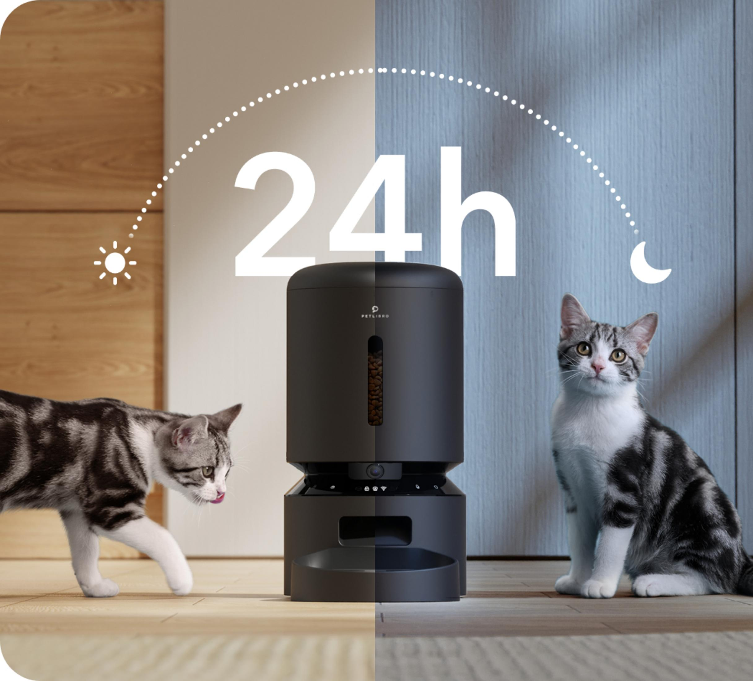 Ein automatischer Futterspender mit zwei Katzen, Tag und Nacht.