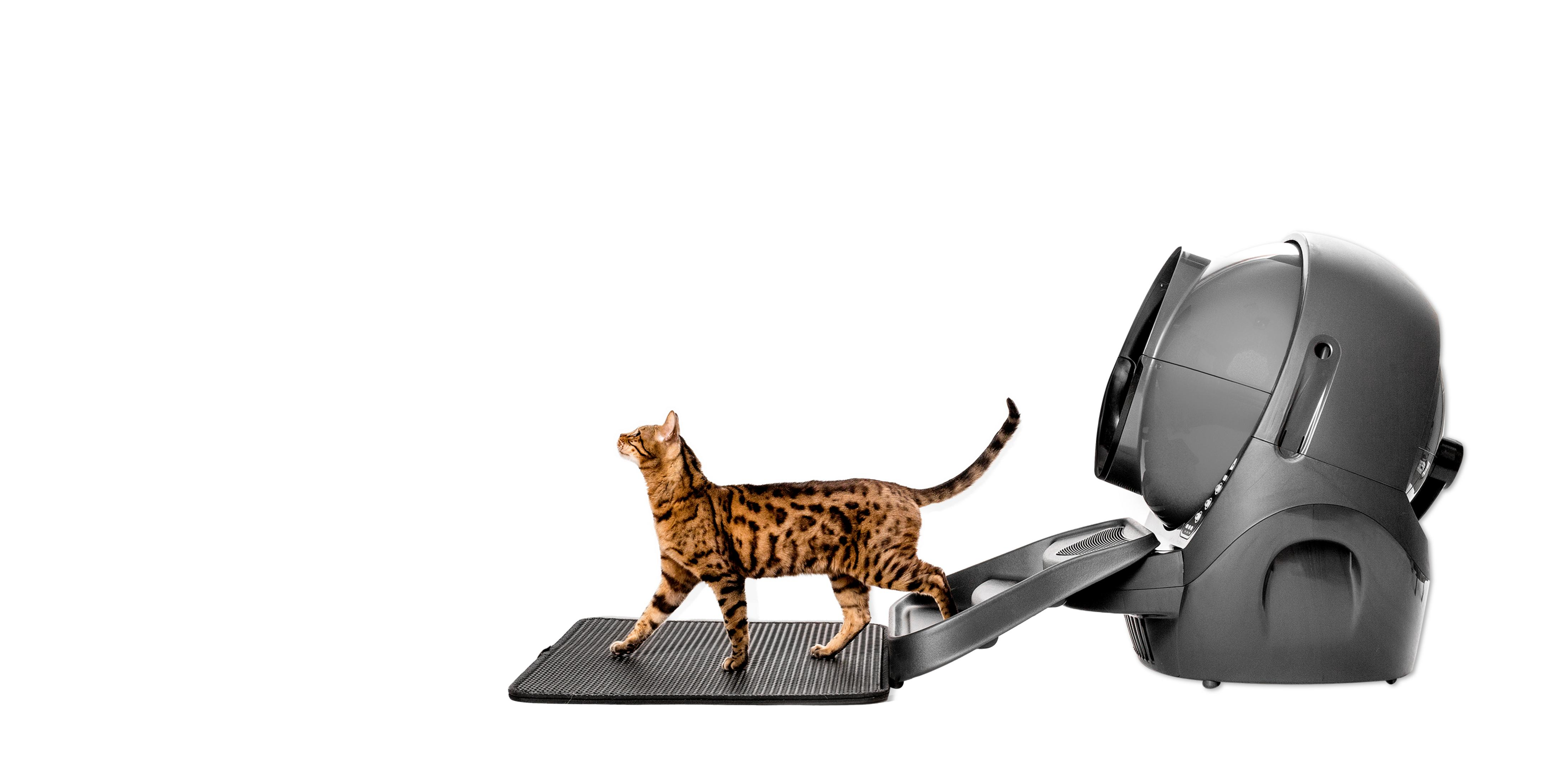 Een Bengaalse kat staat op een mat voor een grijze automatische kattenbak.
