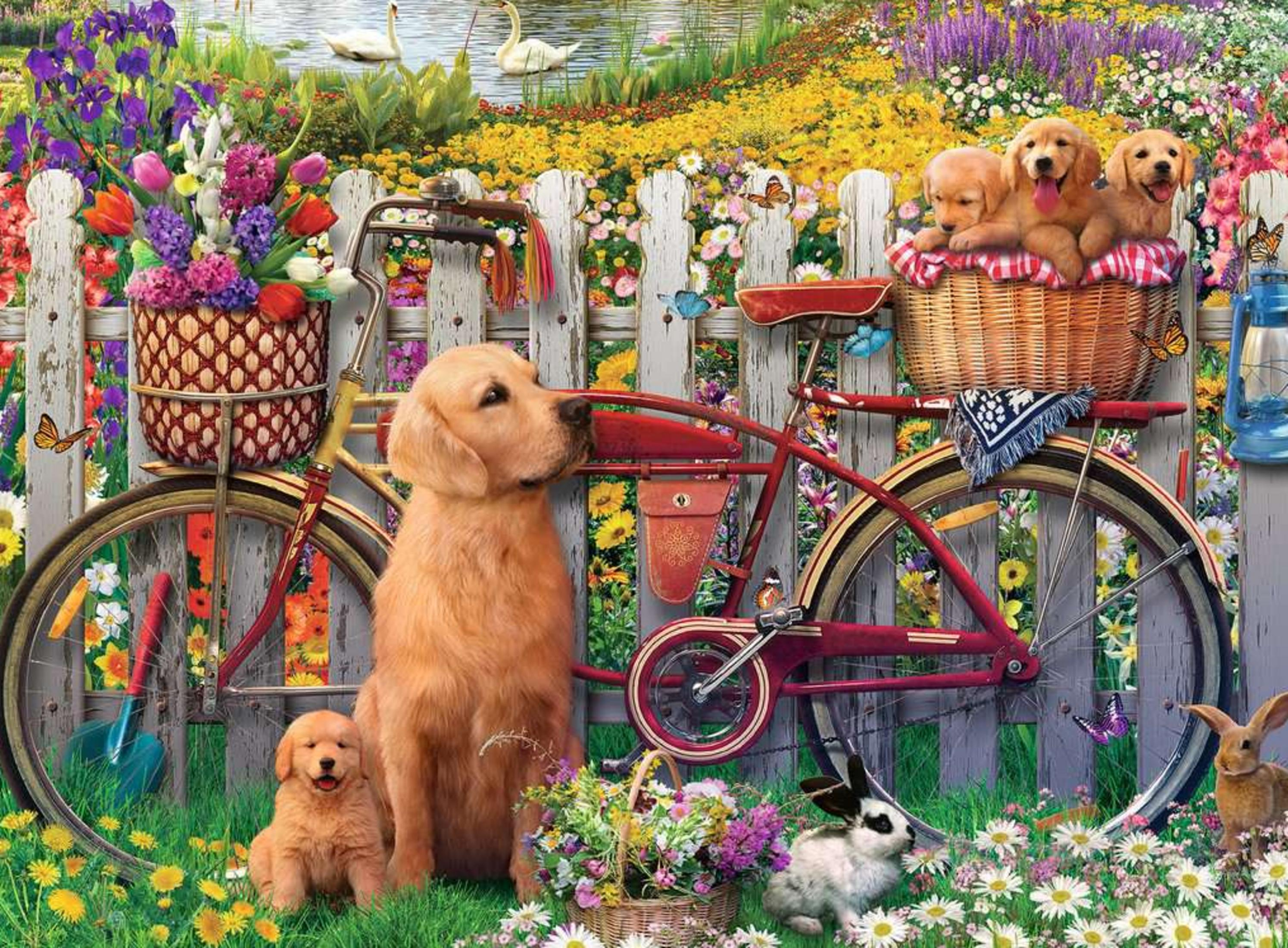 Goldenes Retriever-Welpen und ein Hund sitzen im Gras vor einem Zaun mit Blumen und einem Fahrrad.