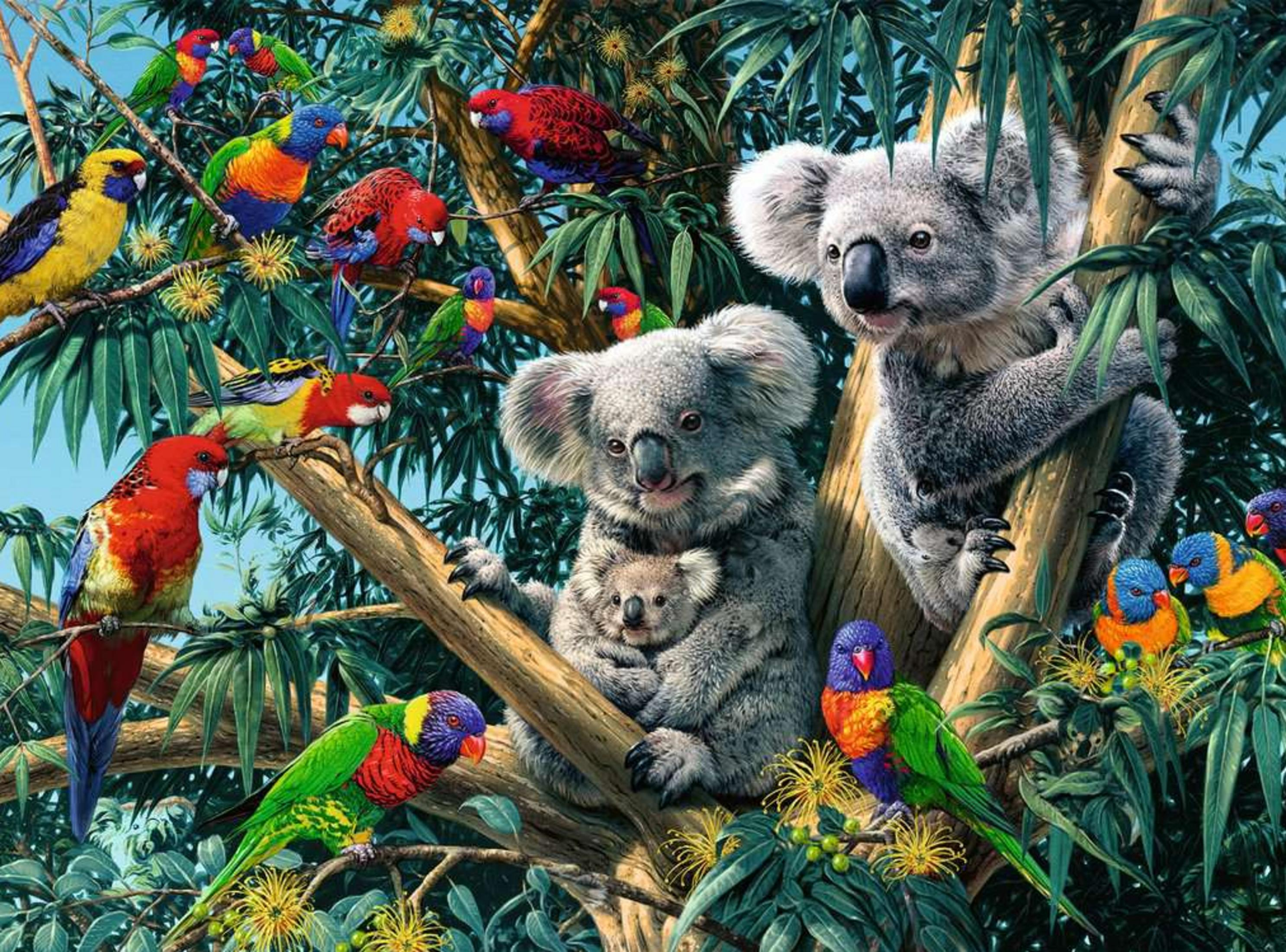 Zwei Koalas und bunte Papageien auf einem Baum mit Eukalyptusblättern.