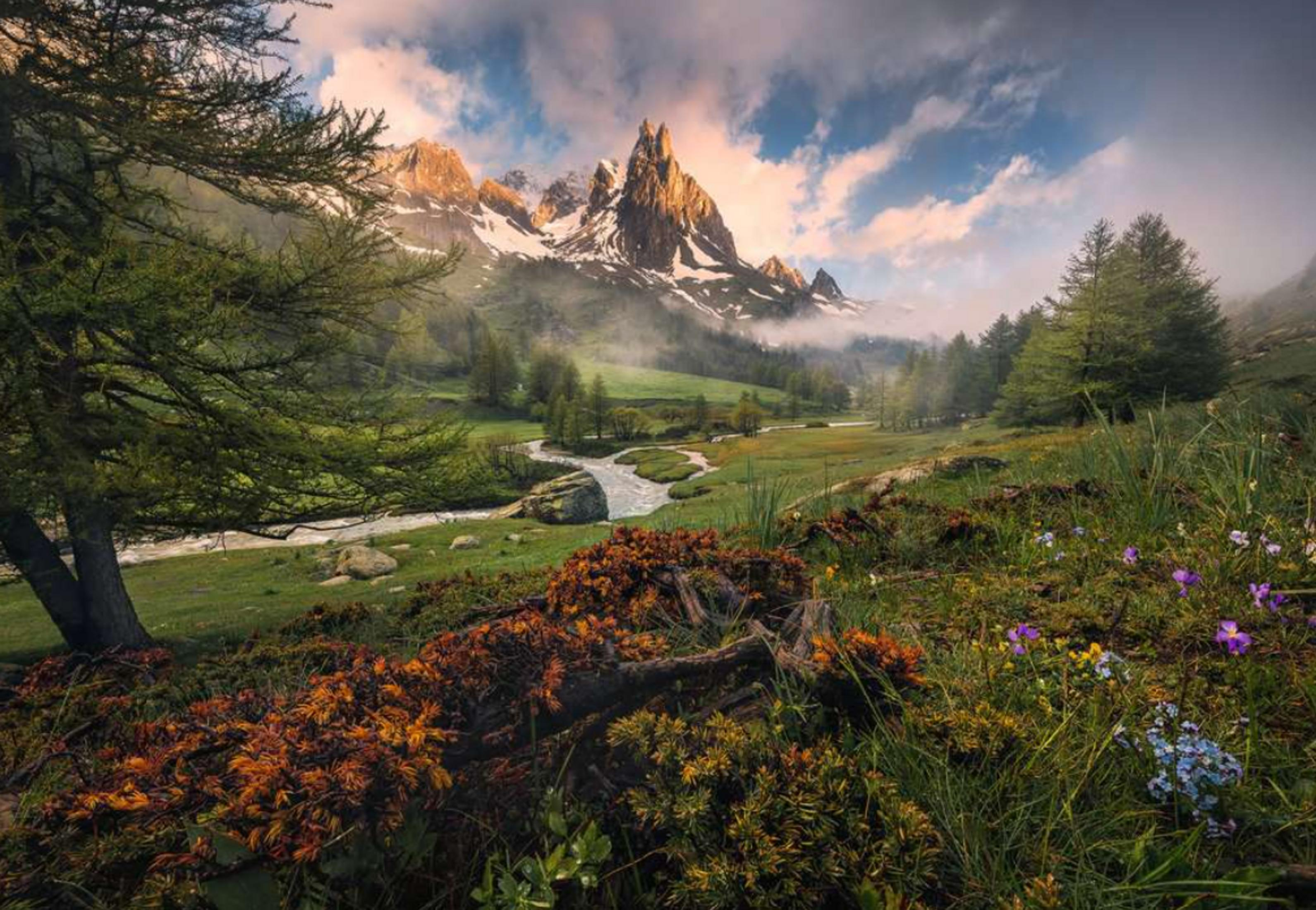 Un torrente montano serpeggia in un prato verde fiorito, montagne sullo sfondo.