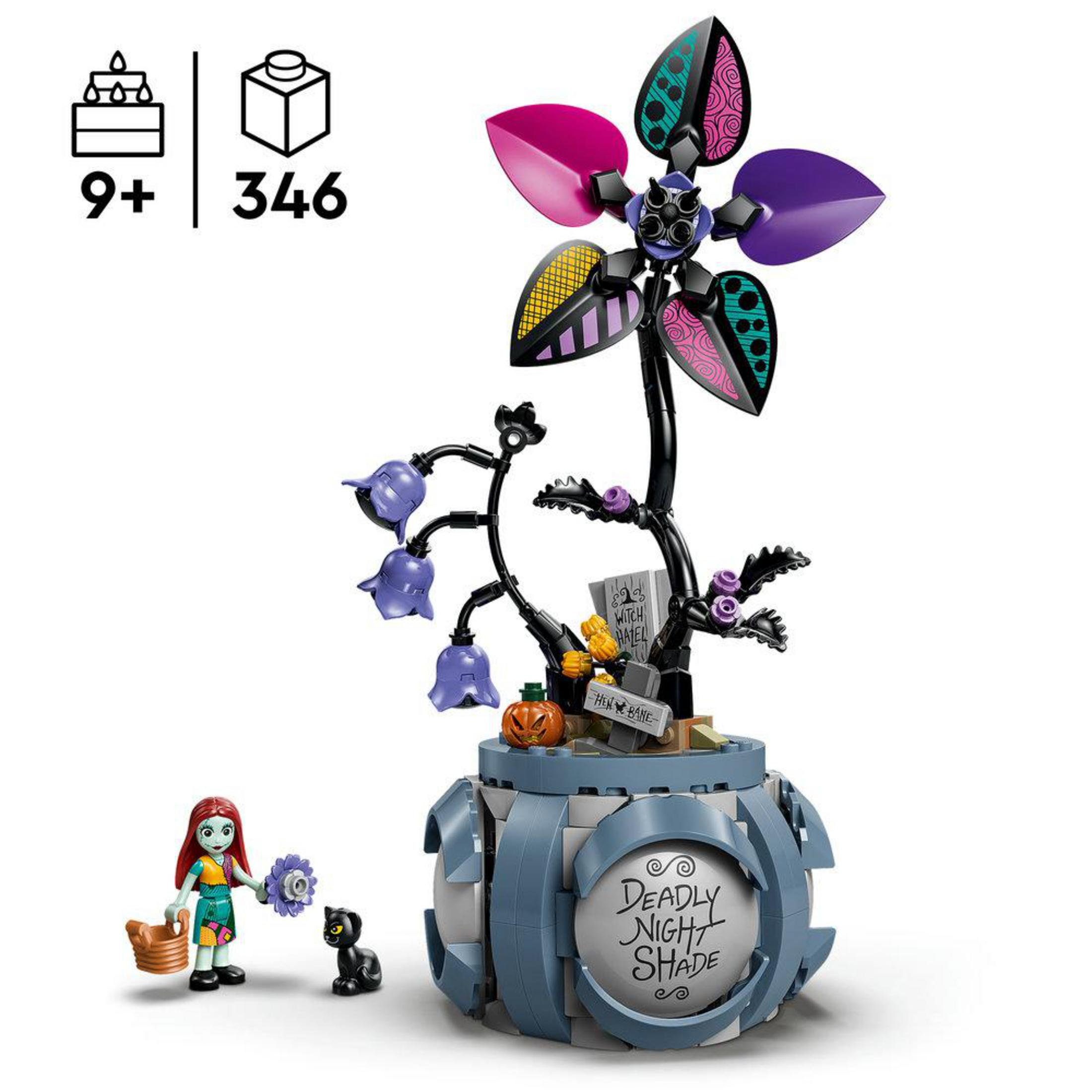 Sally i czarny kot obok zestawu LEGO Deadly Night Shade z kwiatem.