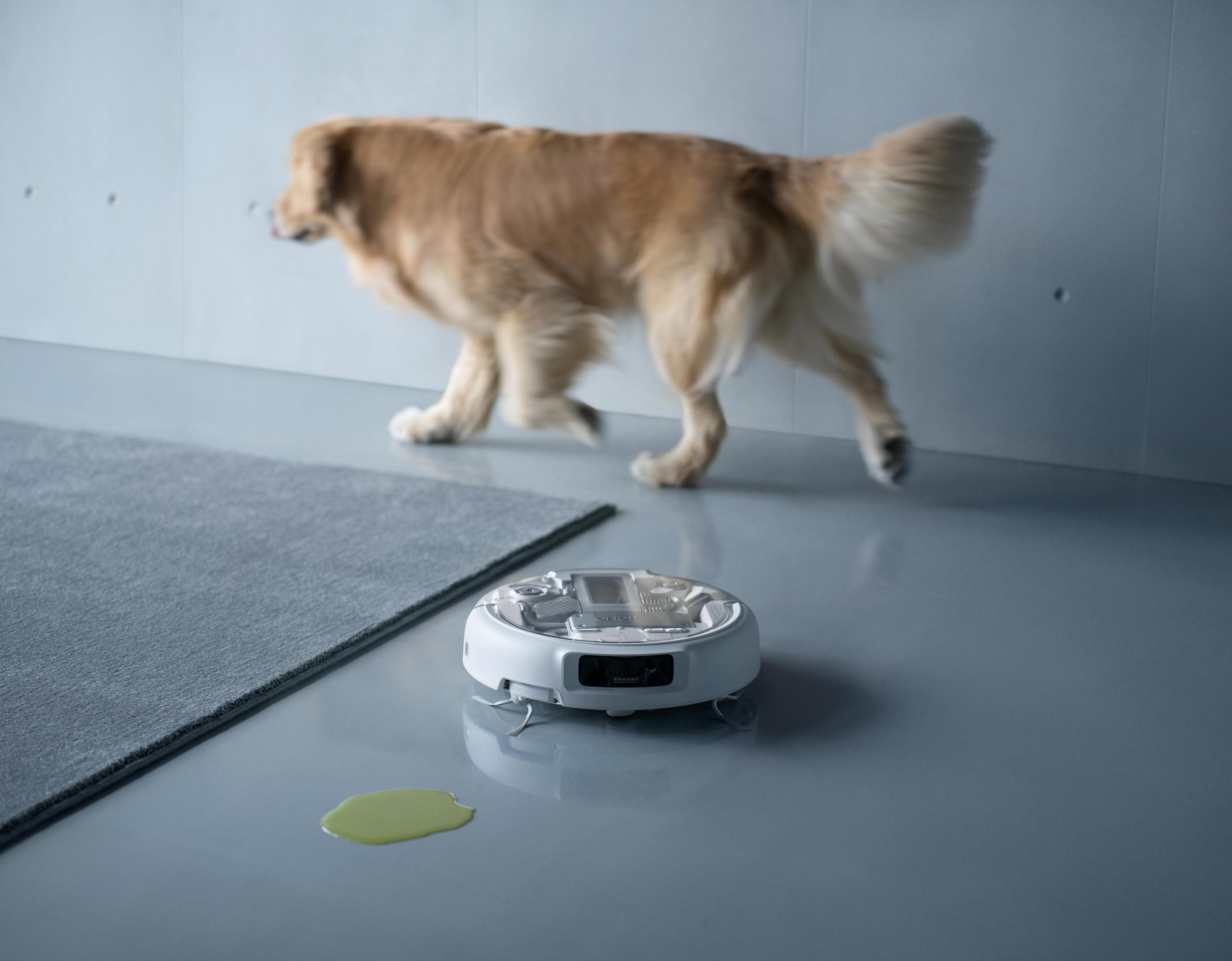 A robot vacuum cleaner sits near a puddle on a grey floor. A dog walks by.