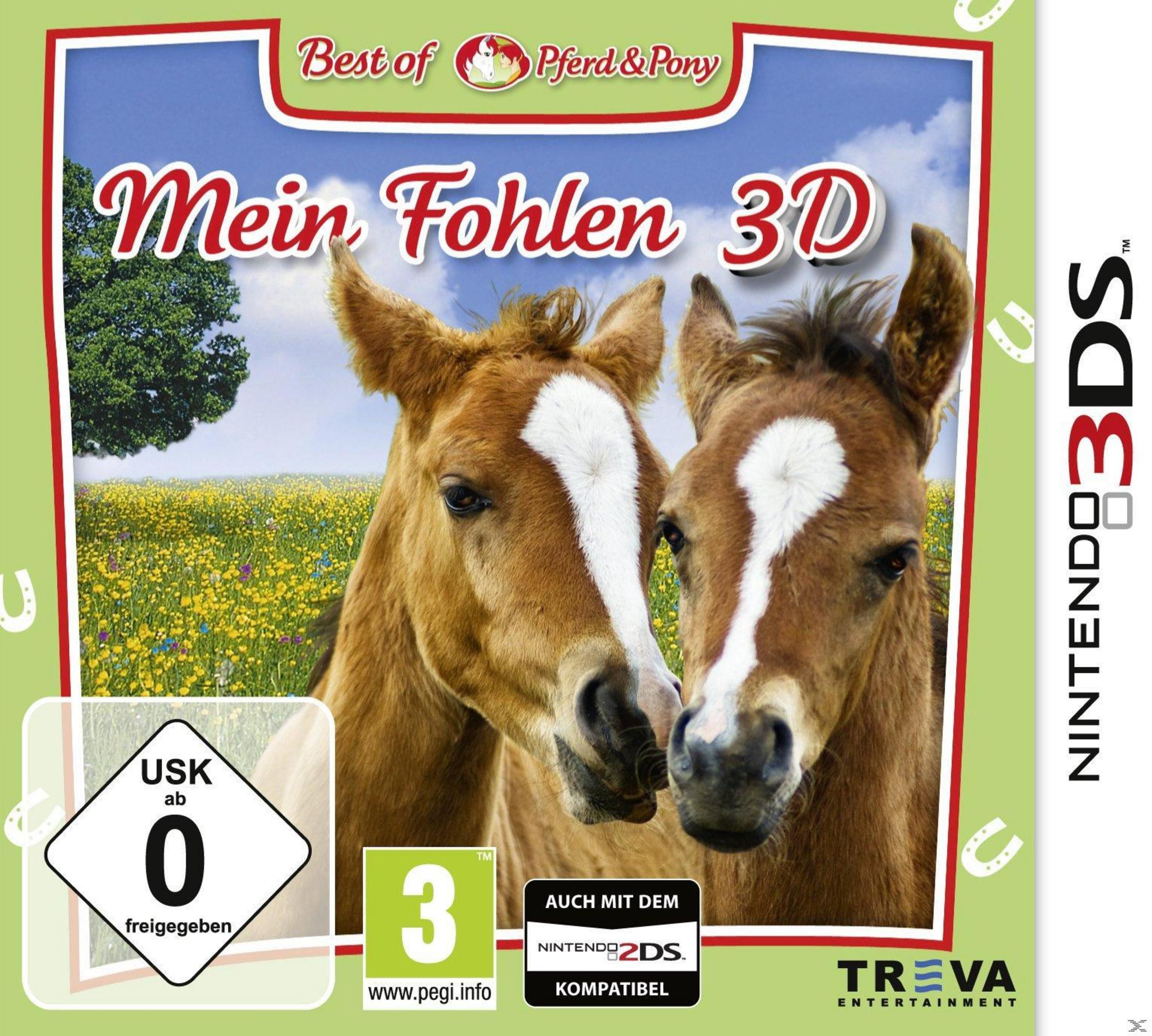 Zwei junge braune Fohlen mit weißen Abzeichen vor einer Wiese mit Blumen.