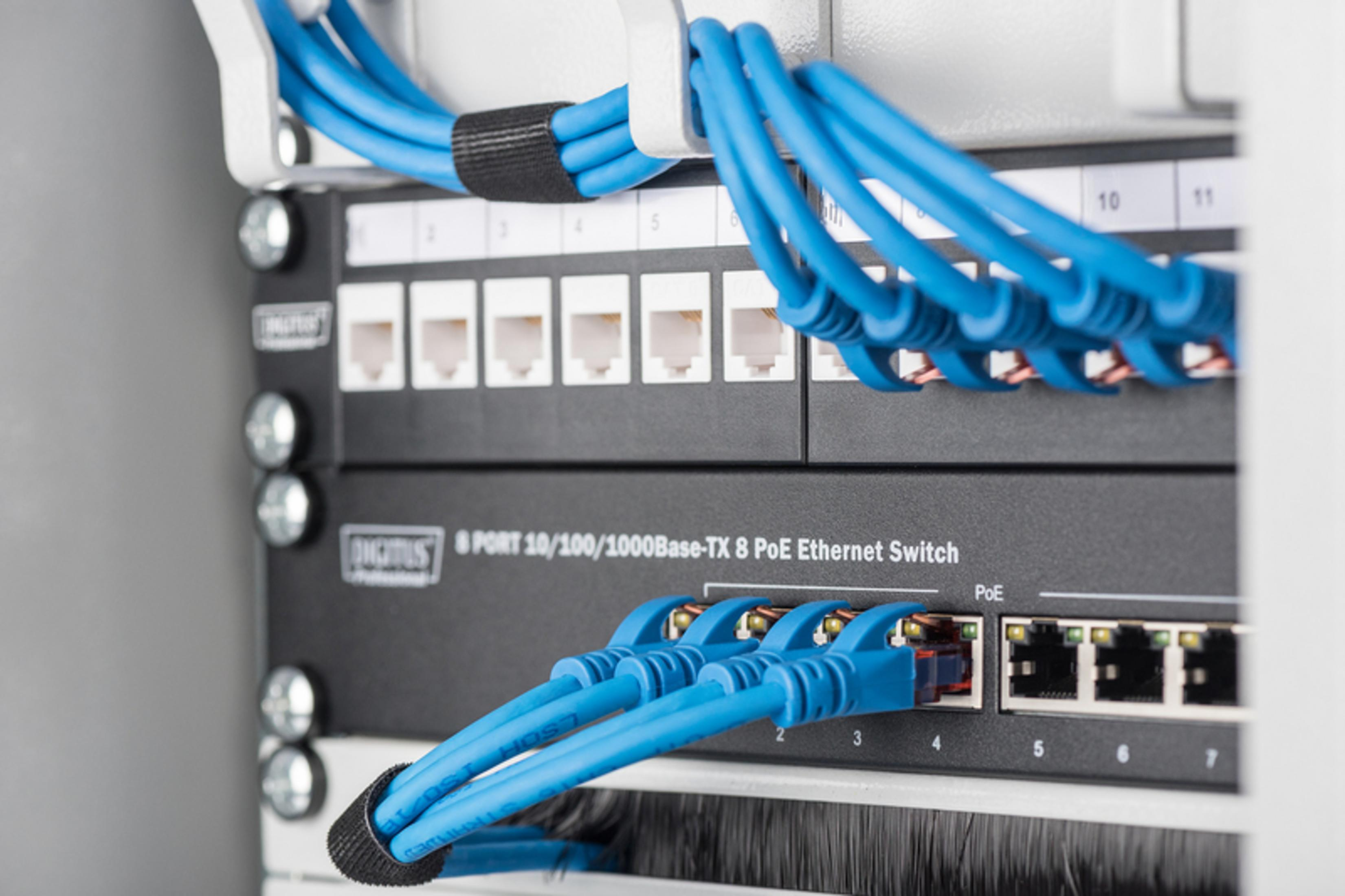 Blaue Netzwerkkabel sind an einem 8-Port-Ethernet-Switch angeschlossen.