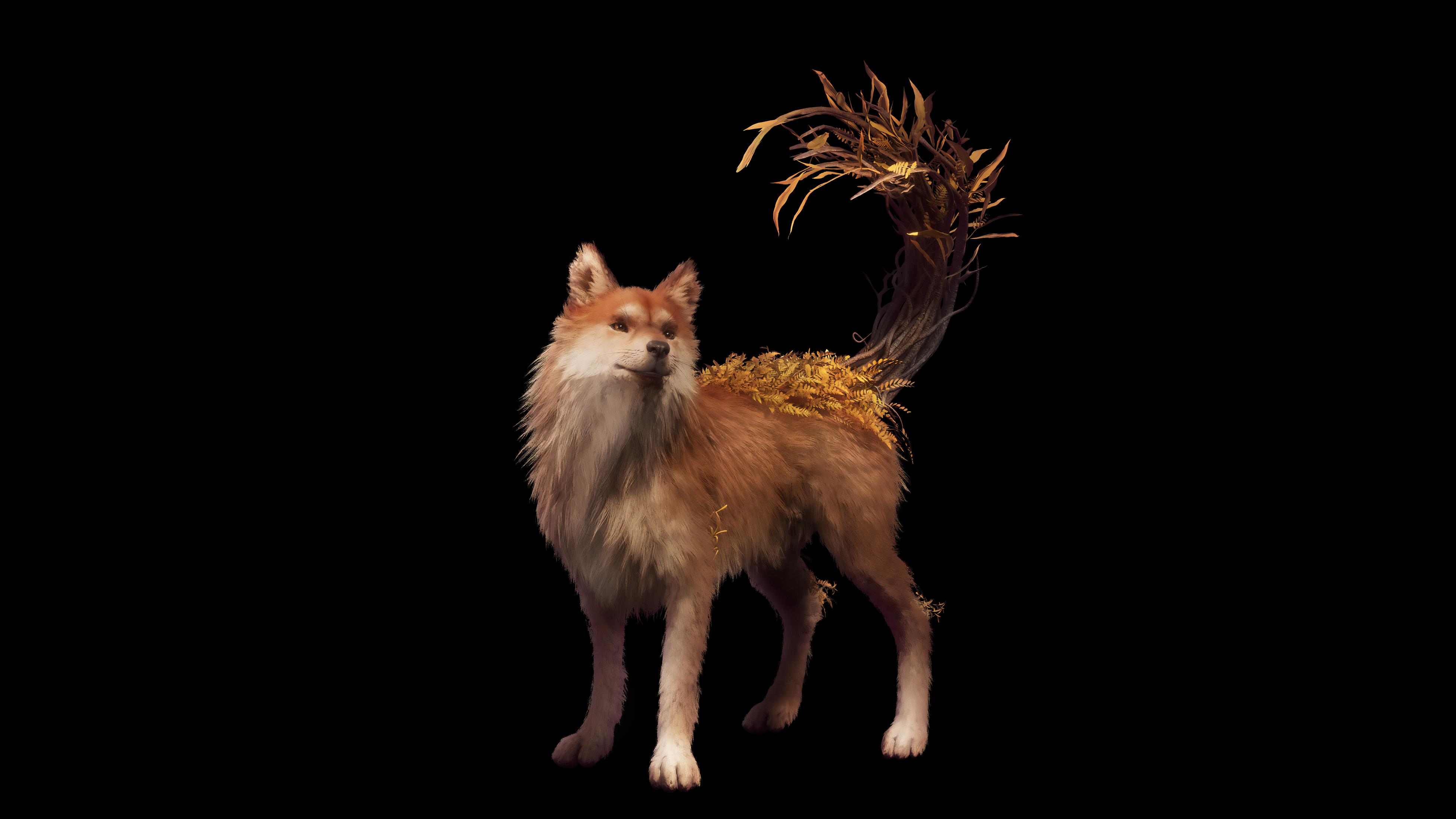 Ein Hund mit braunem Fell steht auf schwarzem Grund. Sein Schwanz ist aus Zweigen.