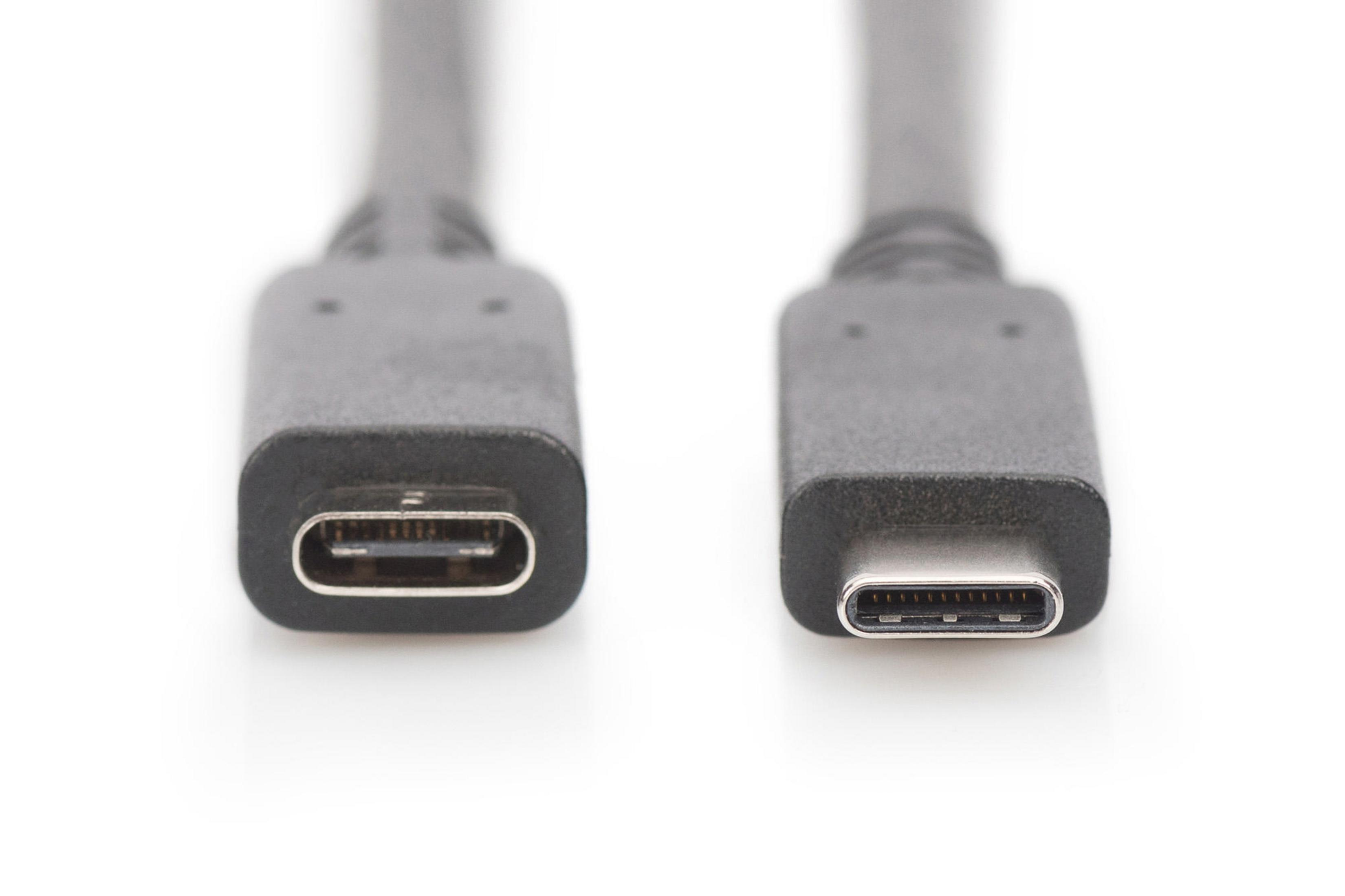 Due porte USB-C su sfondo bianco, primo piano.