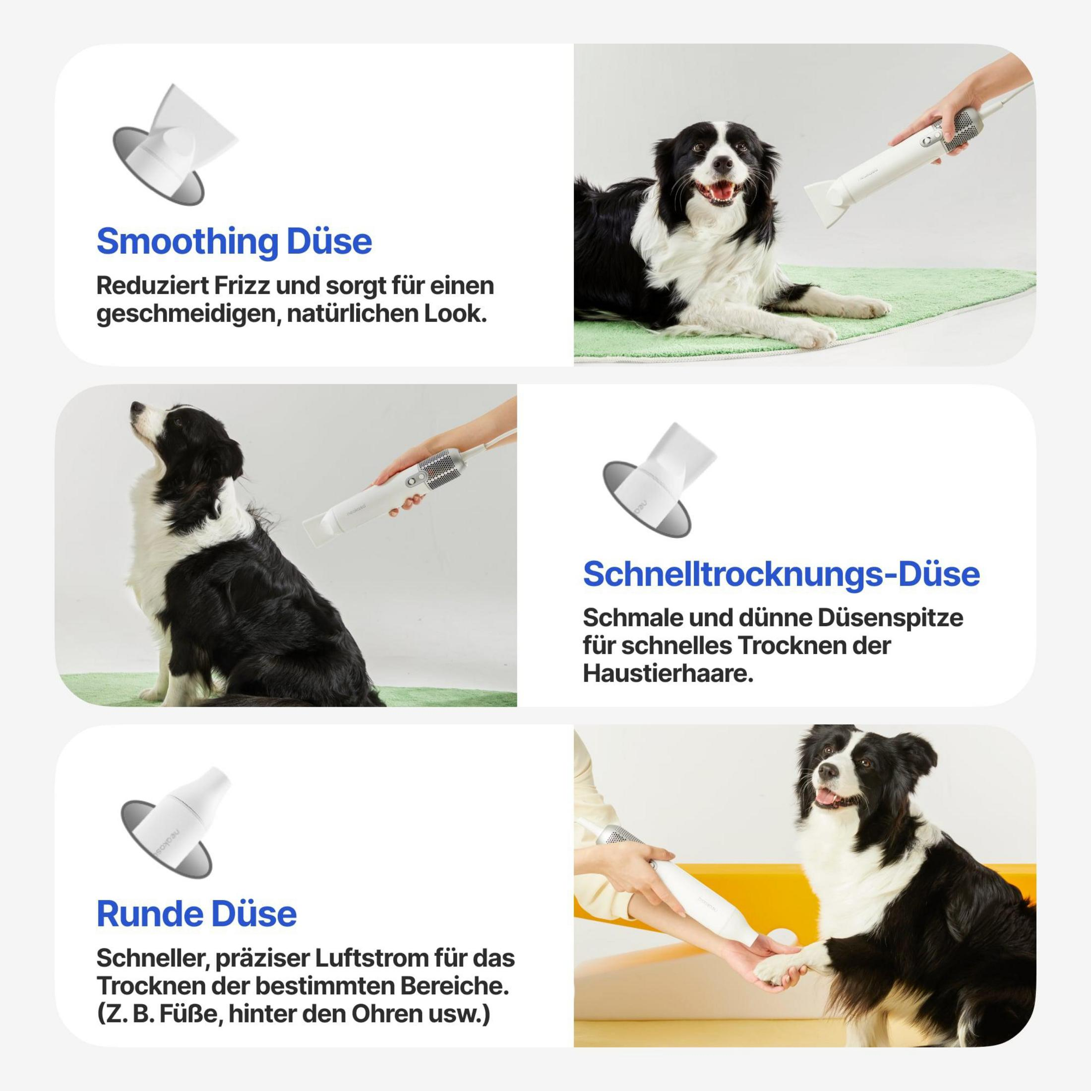 Border Collie z akcesoriami do pielęgnacji zwierząt, pokazano trzy dysze.