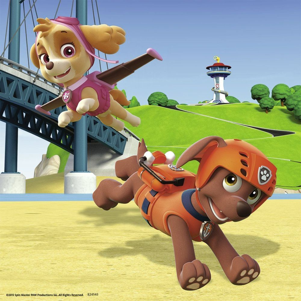 Due cuccioli di Paw Patrol, uno vola con ali, l'altro corre sulla sabbia.