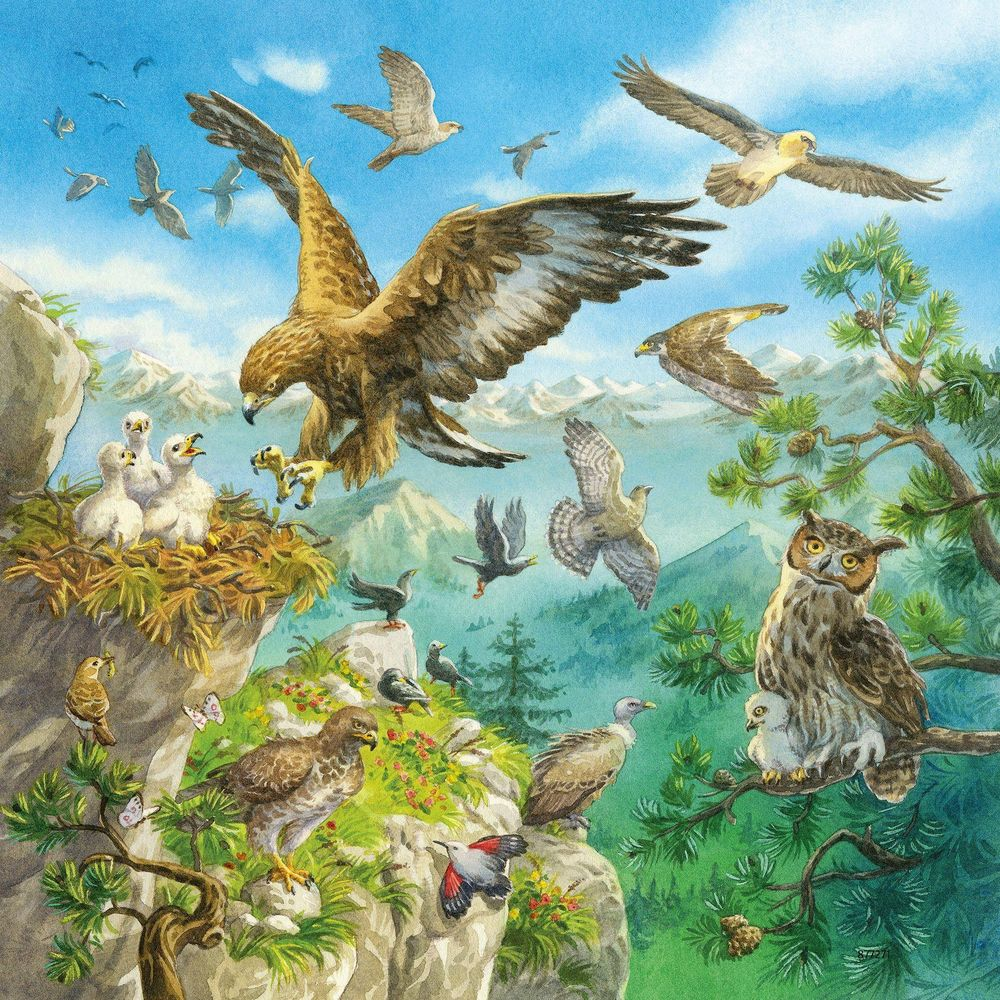 Un'aquila vola su montagne mentre gufi, falchi e altri uccelli si appollaiano su rocce e alberi.