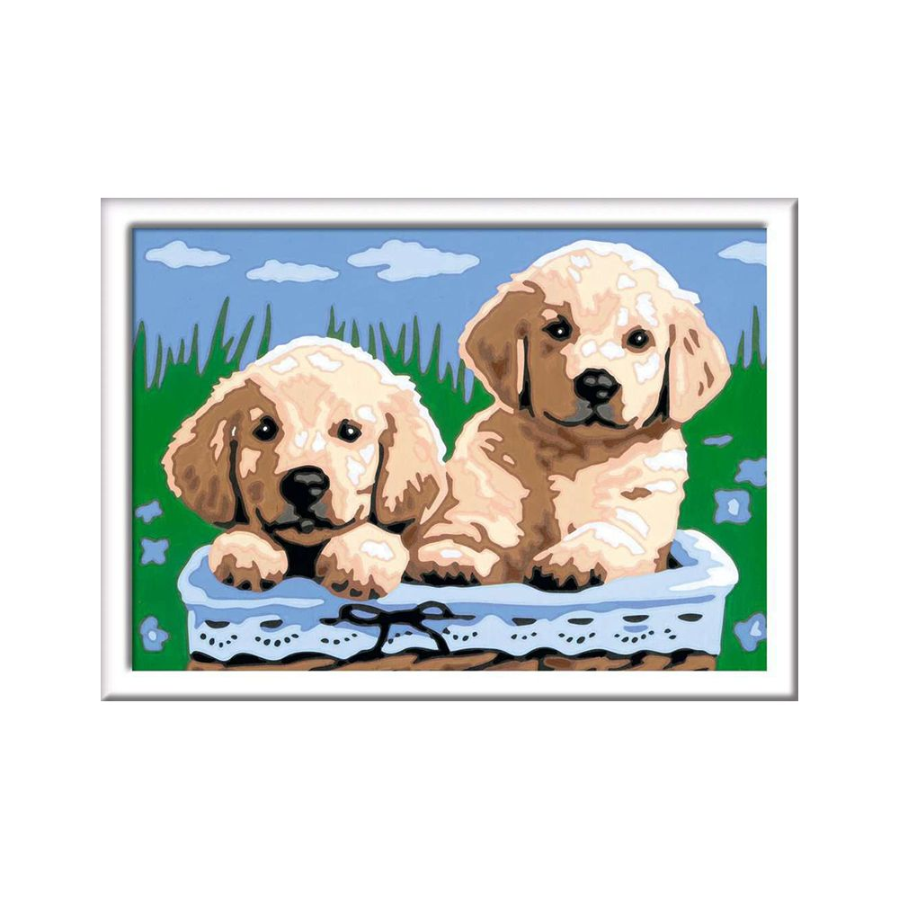 Dos cachorros de golden retriever sentados en una cesta azul con flores al fondo.