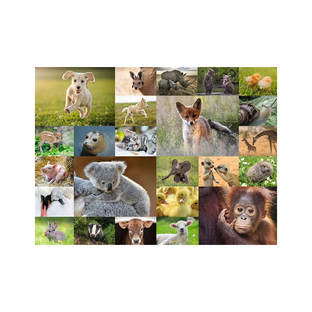 Collage di vari cuccioli di animali tra cui un cane, un maialino, un koala, anatroccoli e un cucciolo di orango.