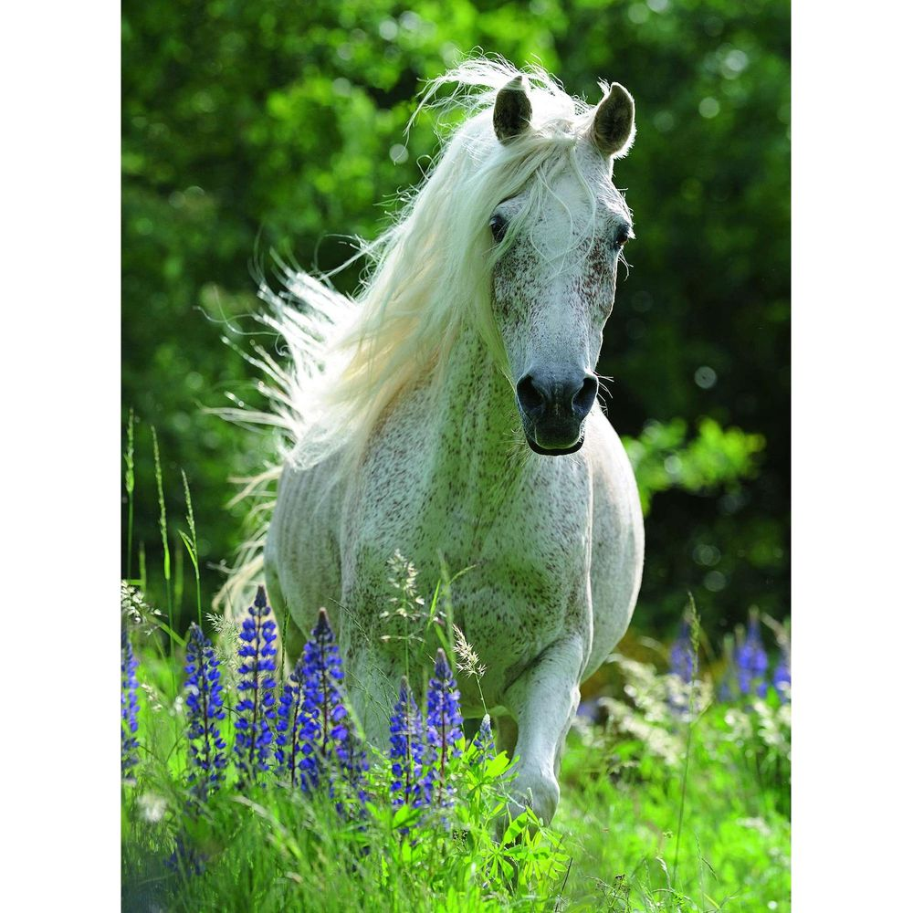 Un cavallo bianco con criniera lunga corre tra lupini viola ed erba verde.
