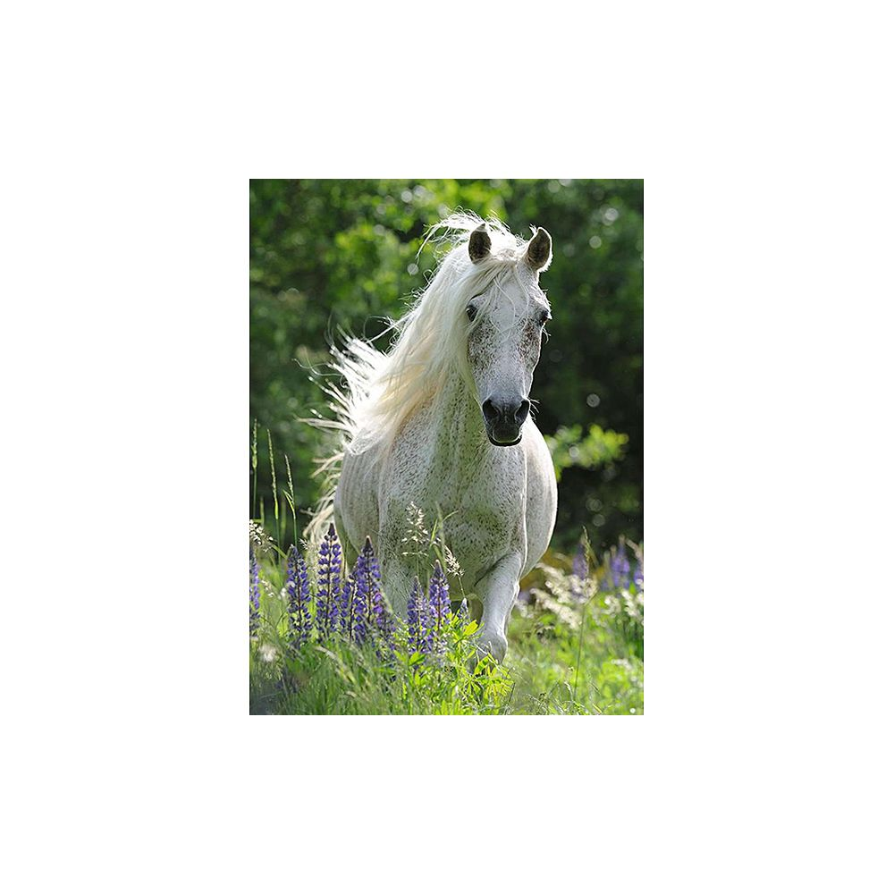 Un cavallo bianco maculato con criniera fluente corre attraverso un campo di lupini viola.
