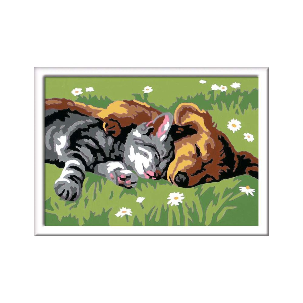 Eine getigerte Katze und ein brauner Hund schlafen friedlich auf grünem Gras mit weißen Blumen.