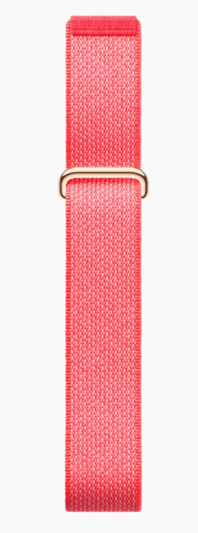 Una correa de tela roja con hebilla dorada sobre fondo blanco.