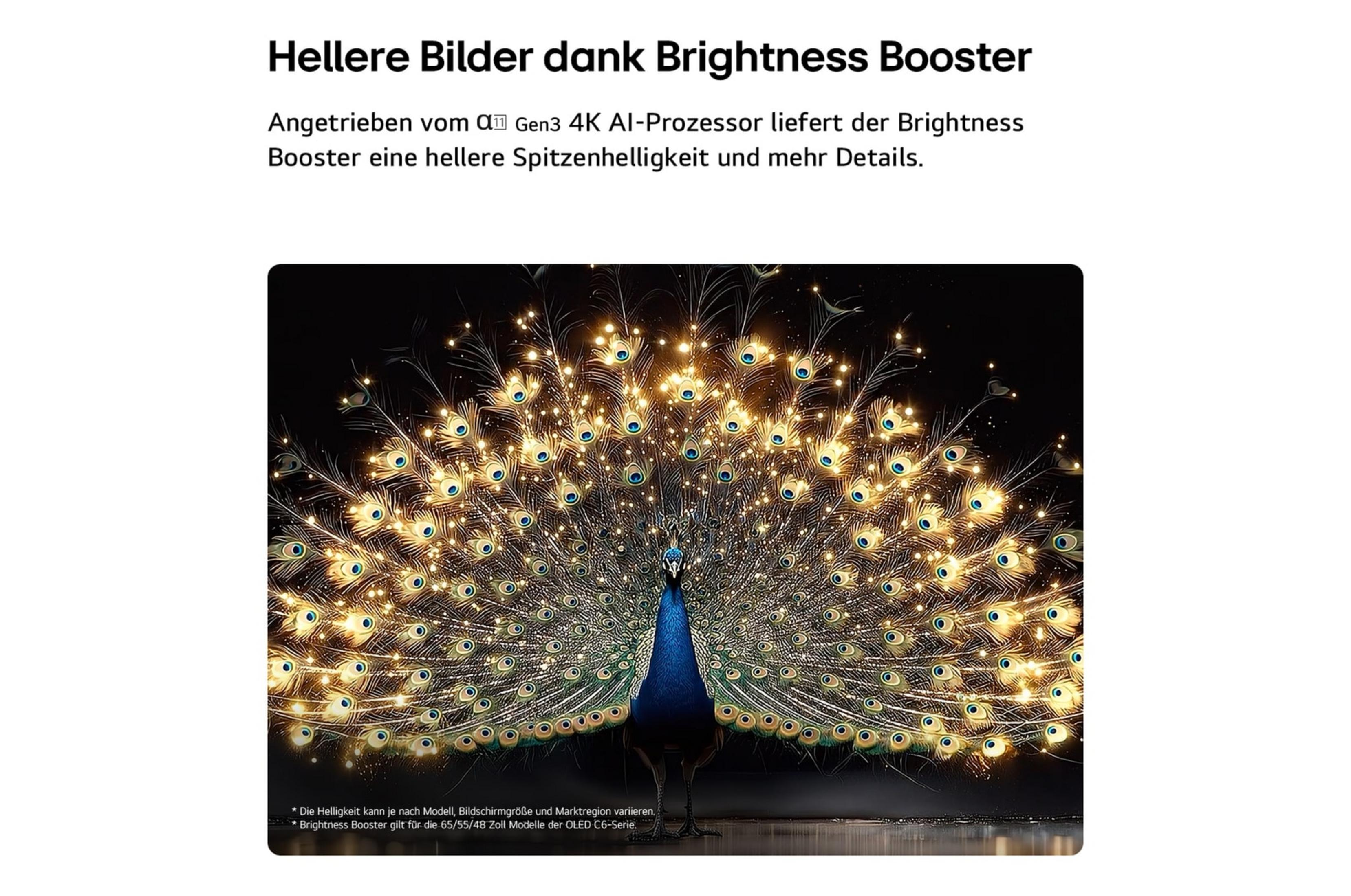 Ein Pfau mit aufgefächerten, beleuchteten Schwanzfedern auf schwarzem Hintergrund.