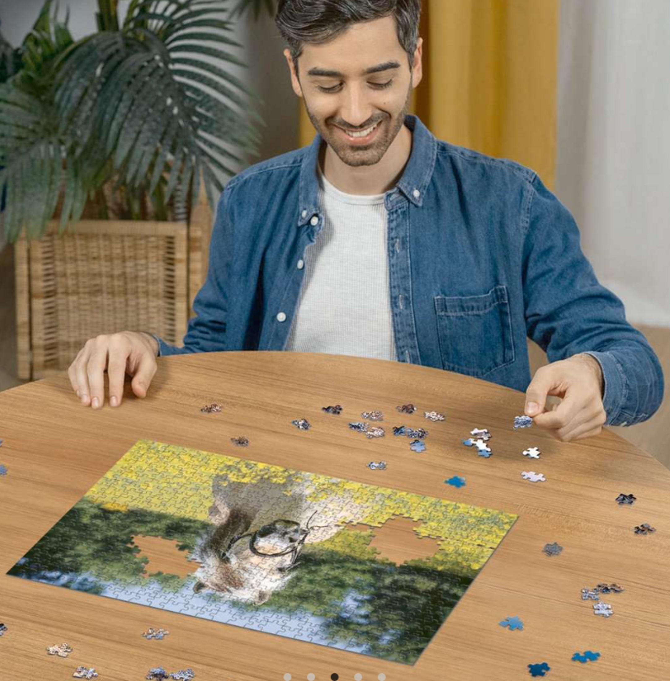 Ein Mann baut ein Puzzle mit einem Tier, das am Wasser sitzt.