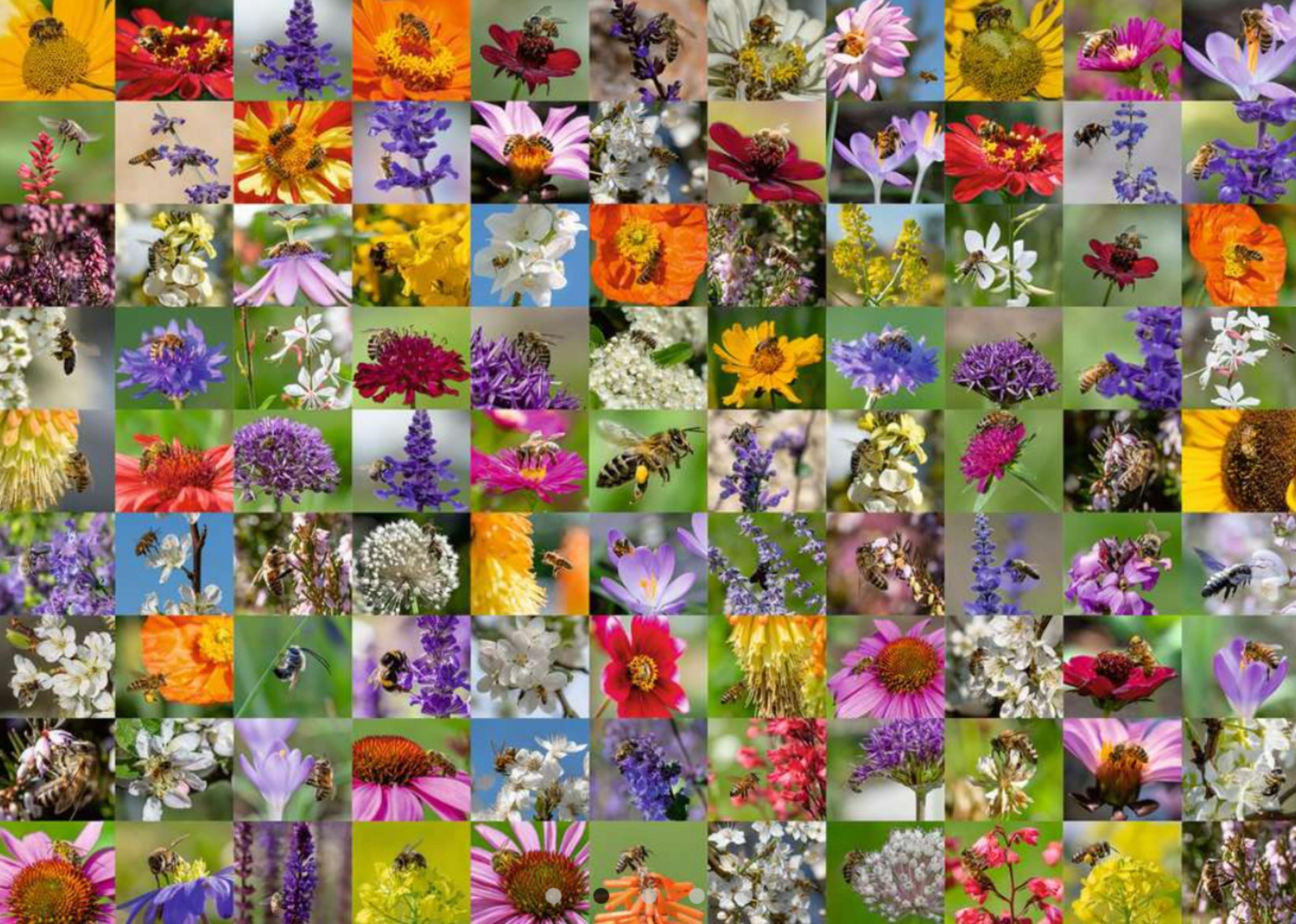 Collage aus Blüten und Bienen in verschiedenen Farben und Mustern.