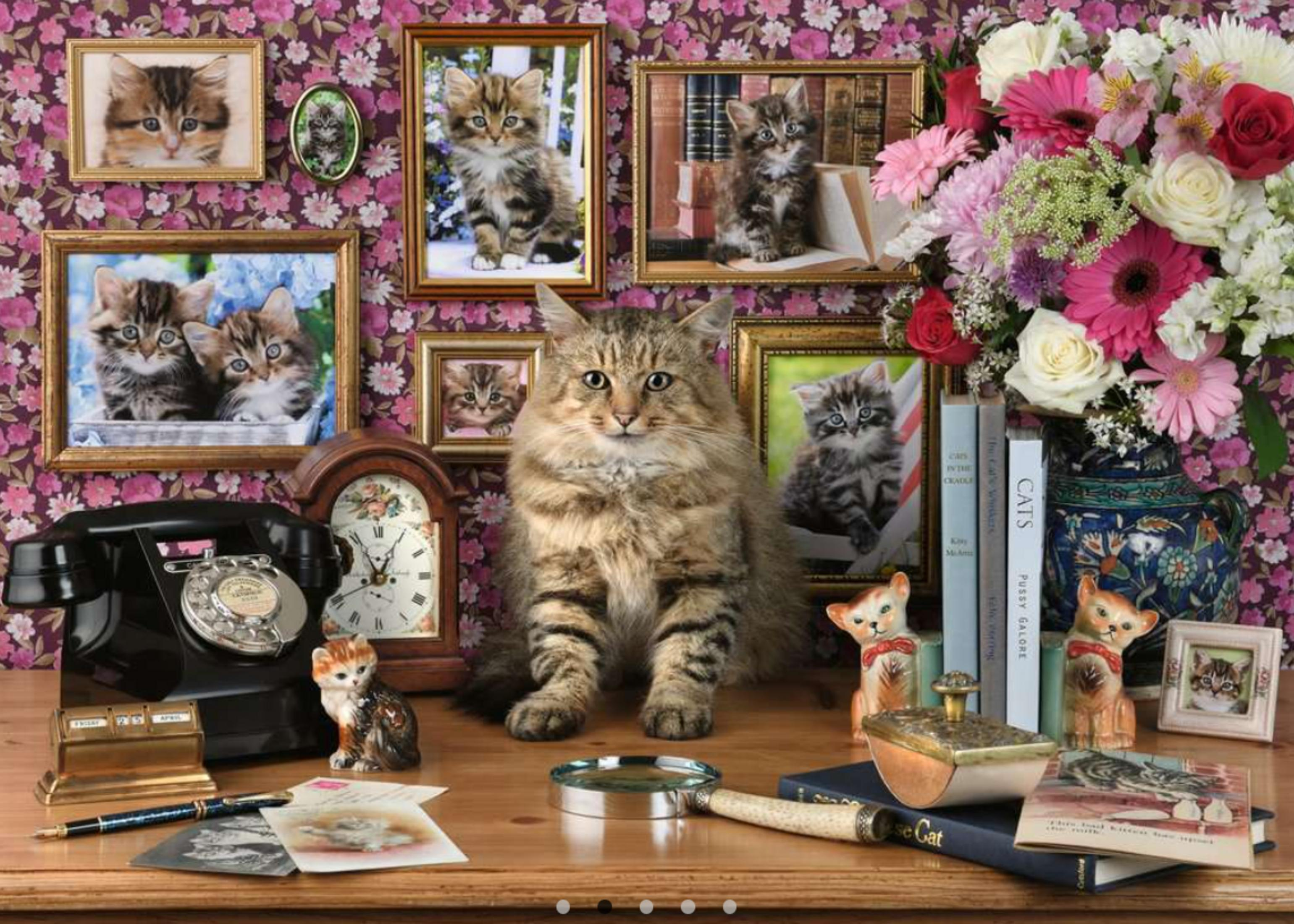 Ein großer getigerter Kater sitzt auf einem Schreibtisch mit Katzengemälden und Blumen.