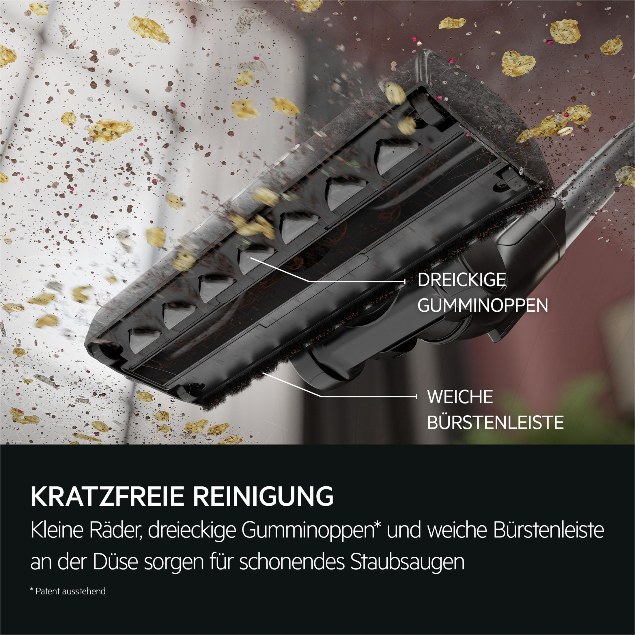 Düse mit dreieckigen Gumminoppen und weicher Bürstenleiste reinigt schonend.