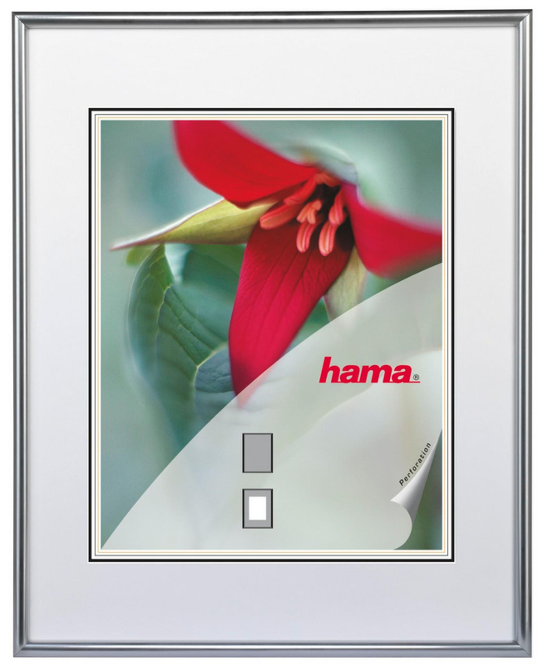 Ein silberner Bilderrahmen mit einem Bild einer roten Blume und dem Hama-Logo.