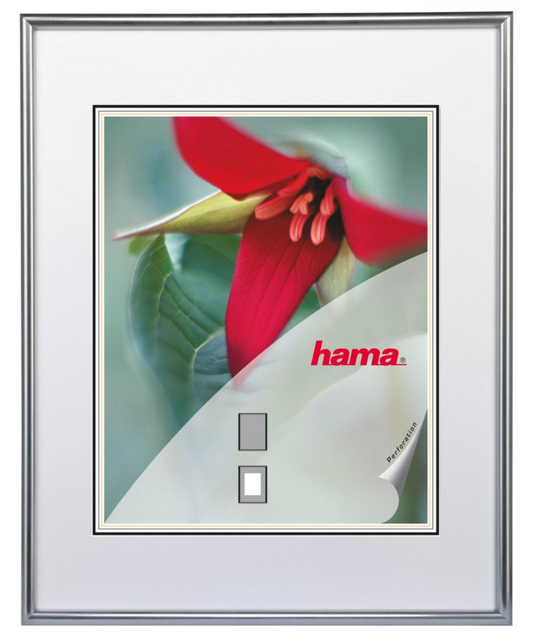 Silberner Bilderrahmen mit roter Blüte und grünen Blättern. Hama Logo.