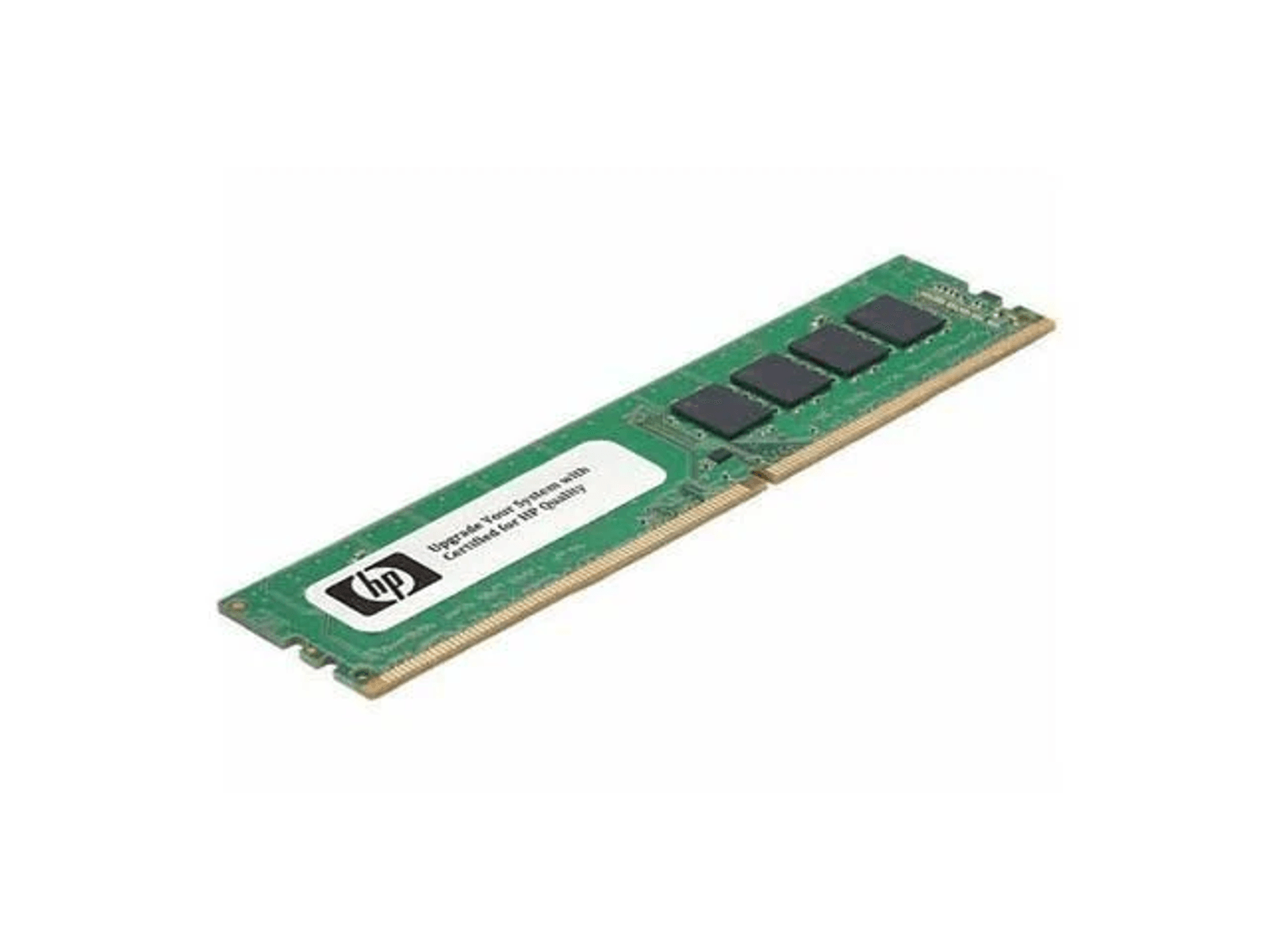 Stick di RAM verde con logo HP e quattro chip neri.