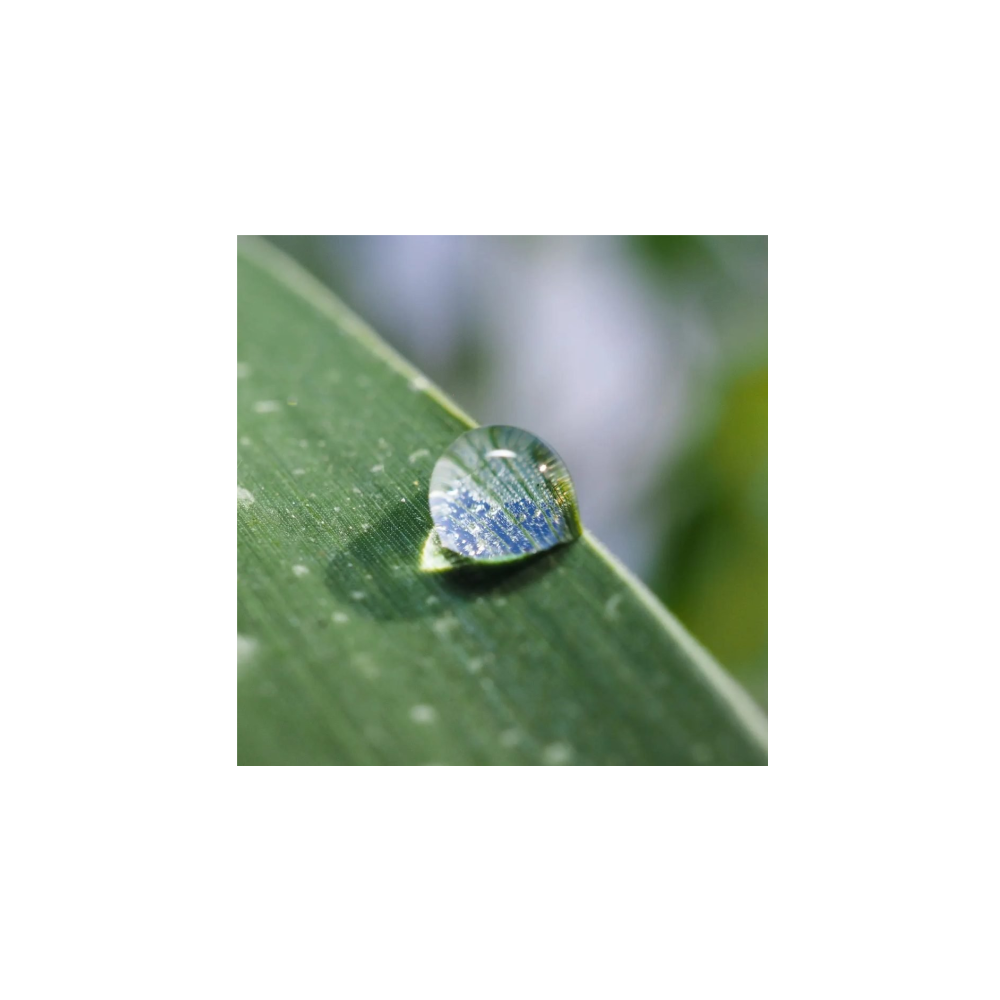 Ein Wassertropfen reflektiert blaue und weiße Muster auf einem grünen Blatt.