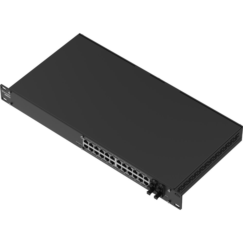 Schwarzer Netzwerk-Switch mit 24 Ports und Rack-Ohren.