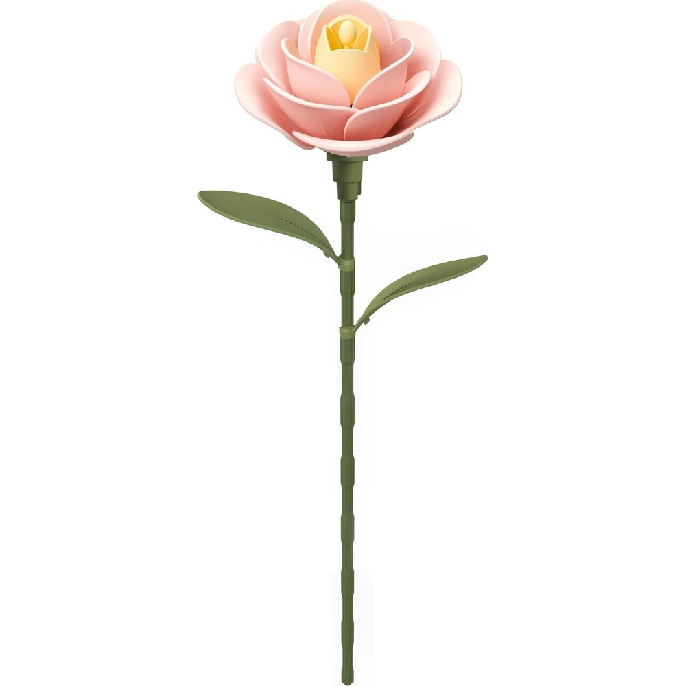 Eine detaillierte rosa Rose mit gelben Blütenblättern und grünen Blättern auf einem weißen Hintergrund.