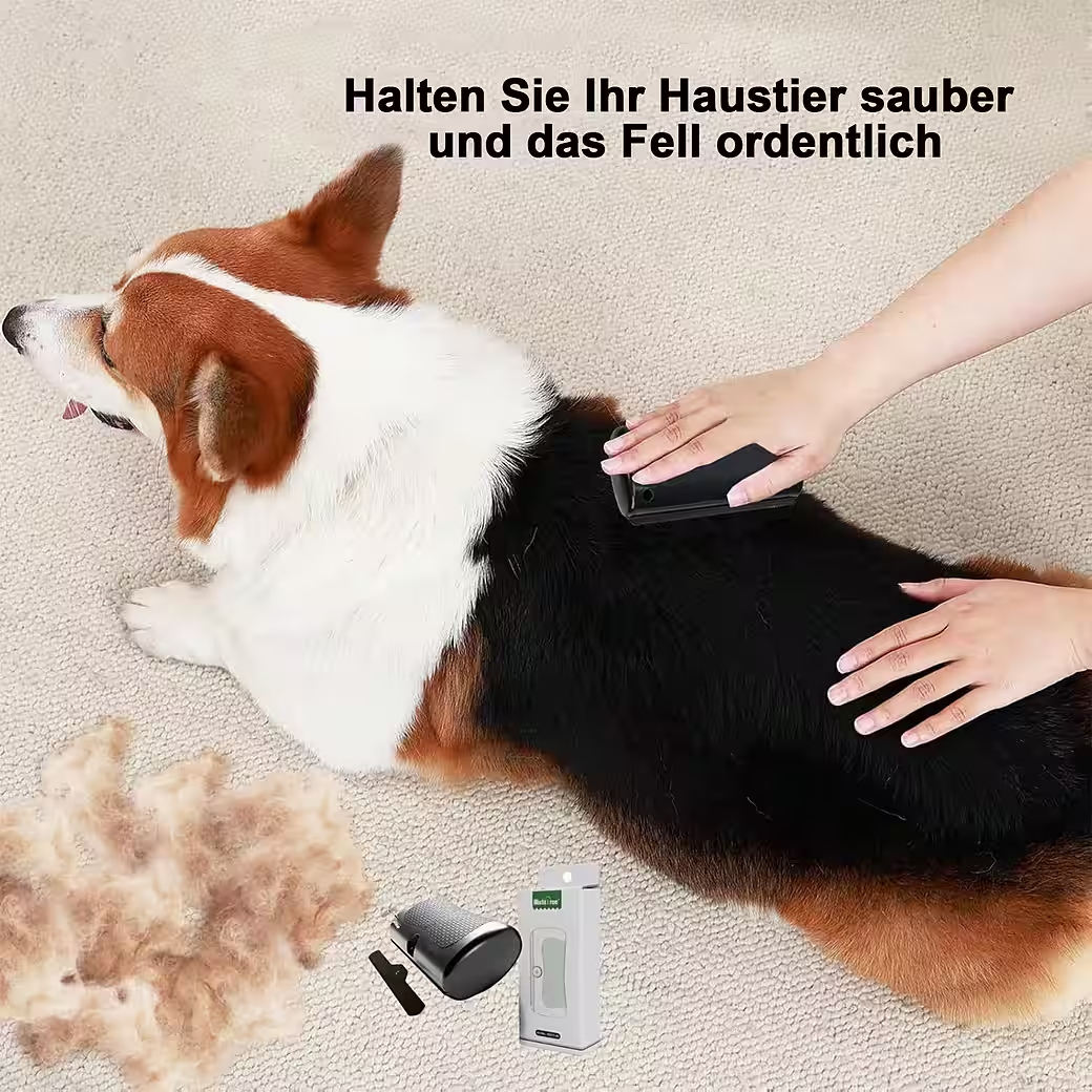 Ein Corgi wird gebürstet, daneben liegen Haare und ein Bürstengerät.