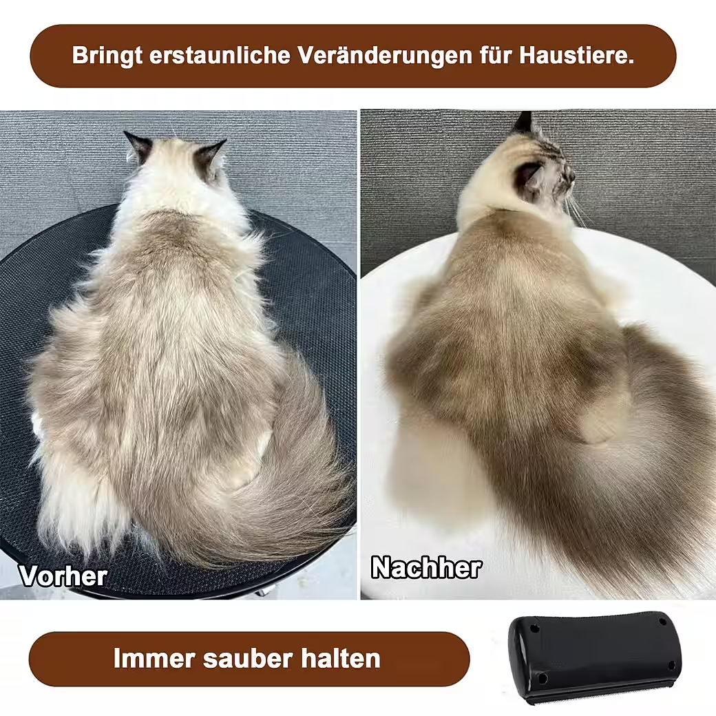 Vorher/Nachher Vergleich einer Katze mit Fellpflege.