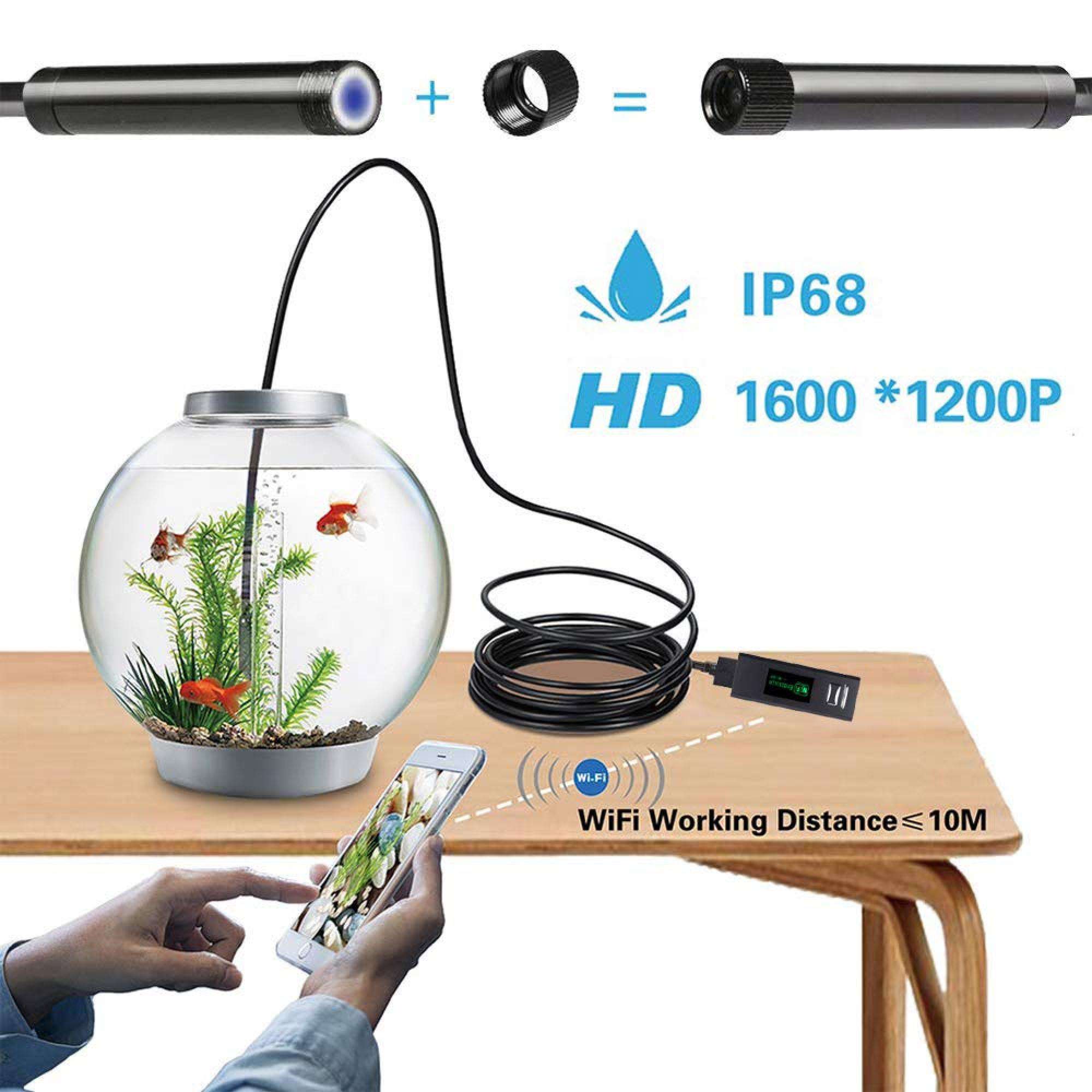 Ein Smartphone zeigt ein Aquarium mit Fischen, verbunden mit einer Kamera.