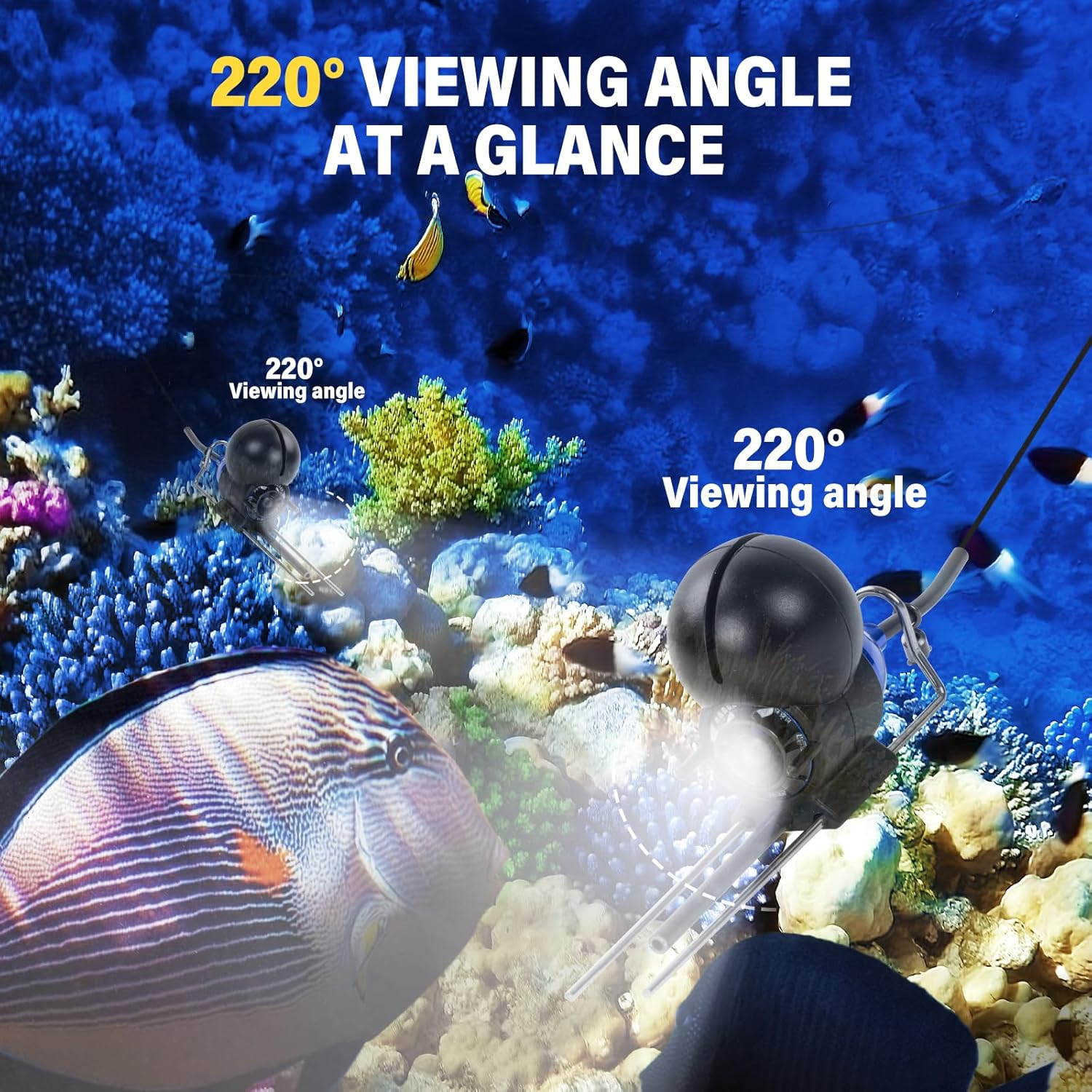 Unterwasseraufnahme zeigt Fische und eine Kamera mit 220 Grad Sichtfeld.