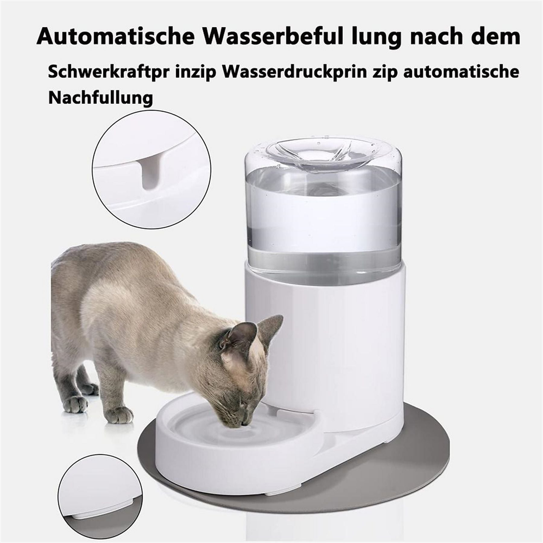 Eine Katze trinkt aus einem automatischen Wasserspender mit großem Wassertank.