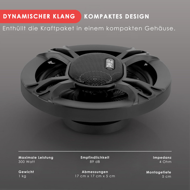Schwarzer Lautsprecher mit Pyle-Logo, 300 Watt Leistung, 89 dB Empfindlichkeit.