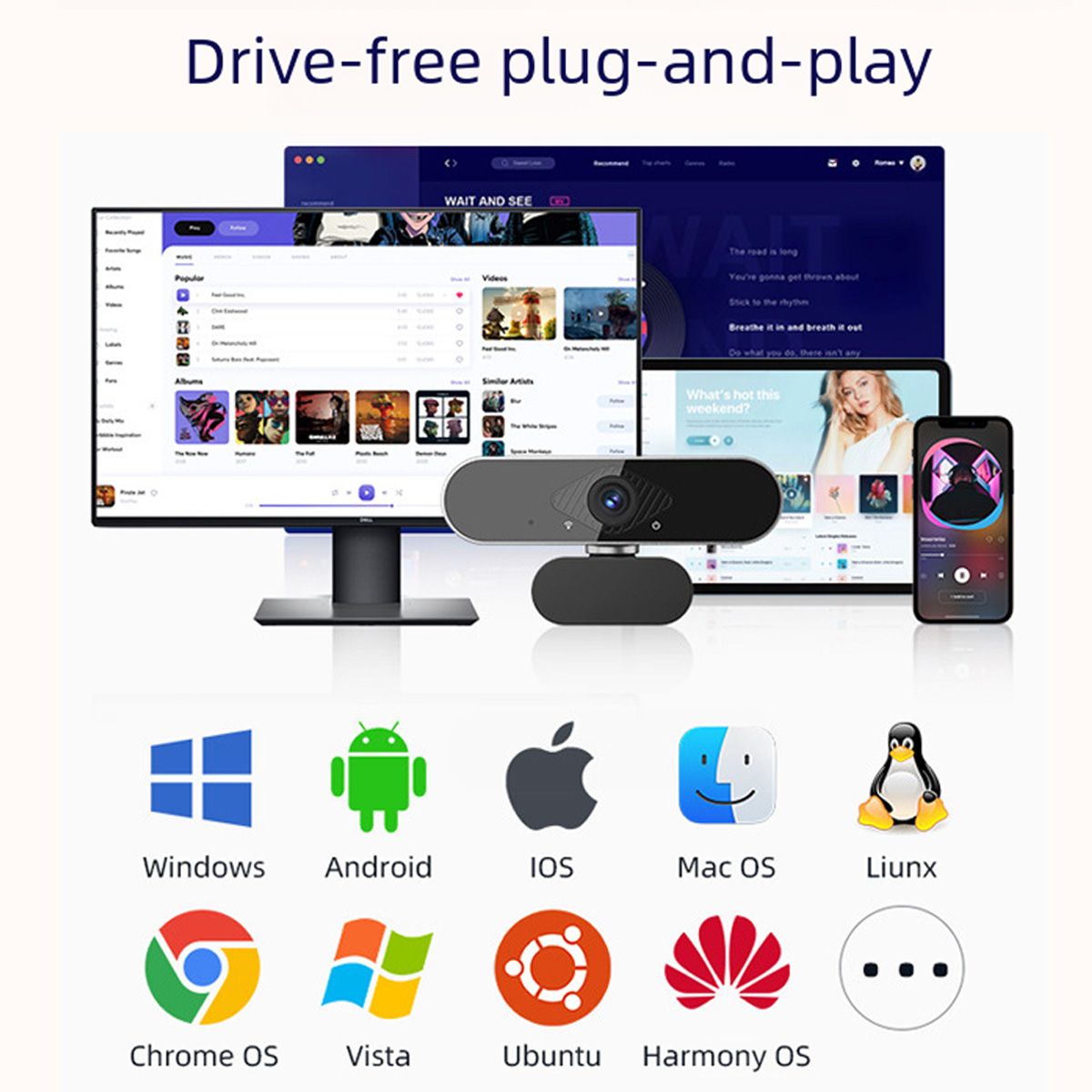 Ein Computer, Tablet, Smartphone und eine Webcam werden gezeigt, mit Betriebssystem-Logos darunter.