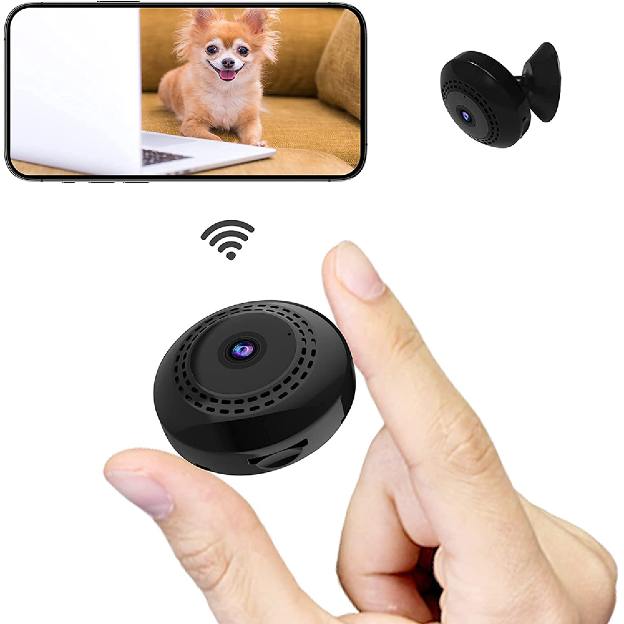 Eine winzige schwarze Kamera wird zwischen Fingern gehalten. Ein Handy zeigt einen Hund.