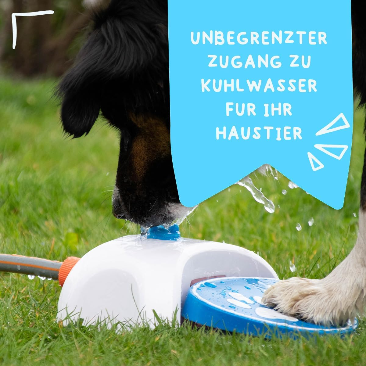 Ein Hund trinkt aus einem Wasserspender im Gras.