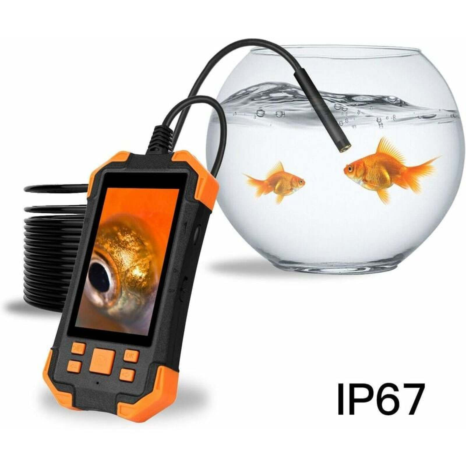 Digitale Inspektionskamera mit Bildschirm, der Fischauge zeigt, neben Goldfischglas mit zwei Goldfischen.