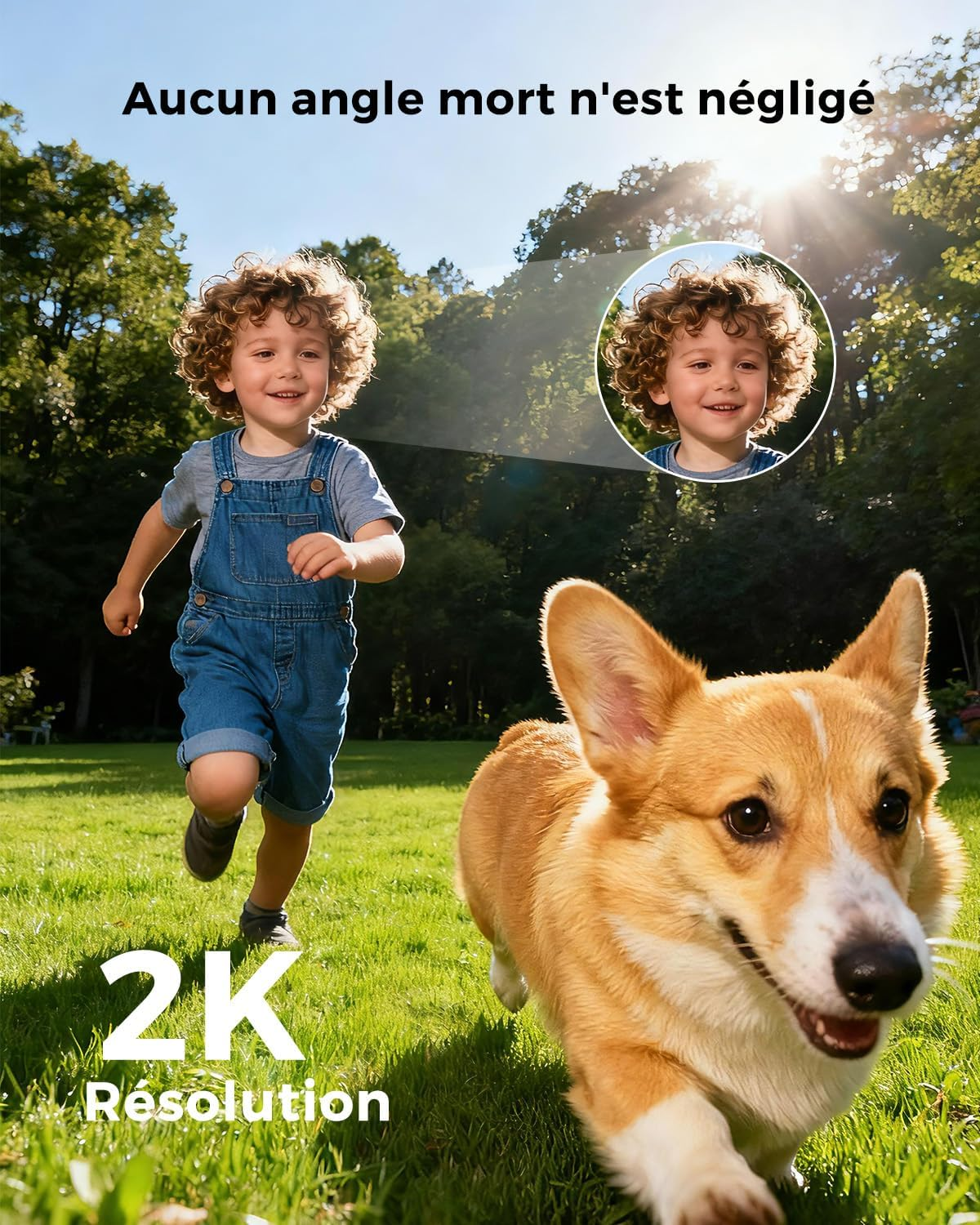 Ein Junge und ein Corgi rennen auf einer grünen Wiese.