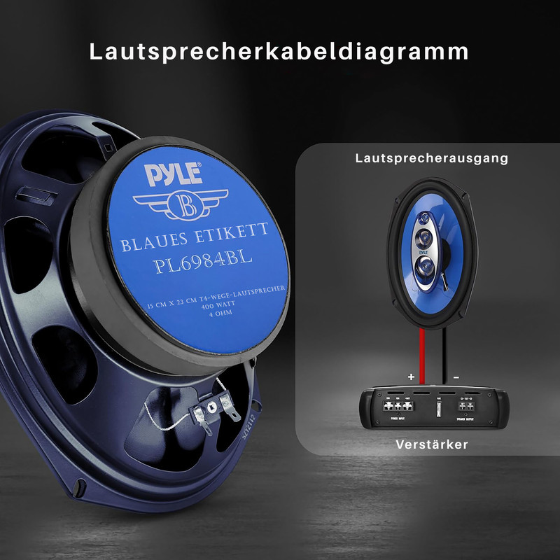 Nahaufnahme eines blauen Lautsprechers und eines Diagramms, das ihn mit einem Verstärker verbindet.