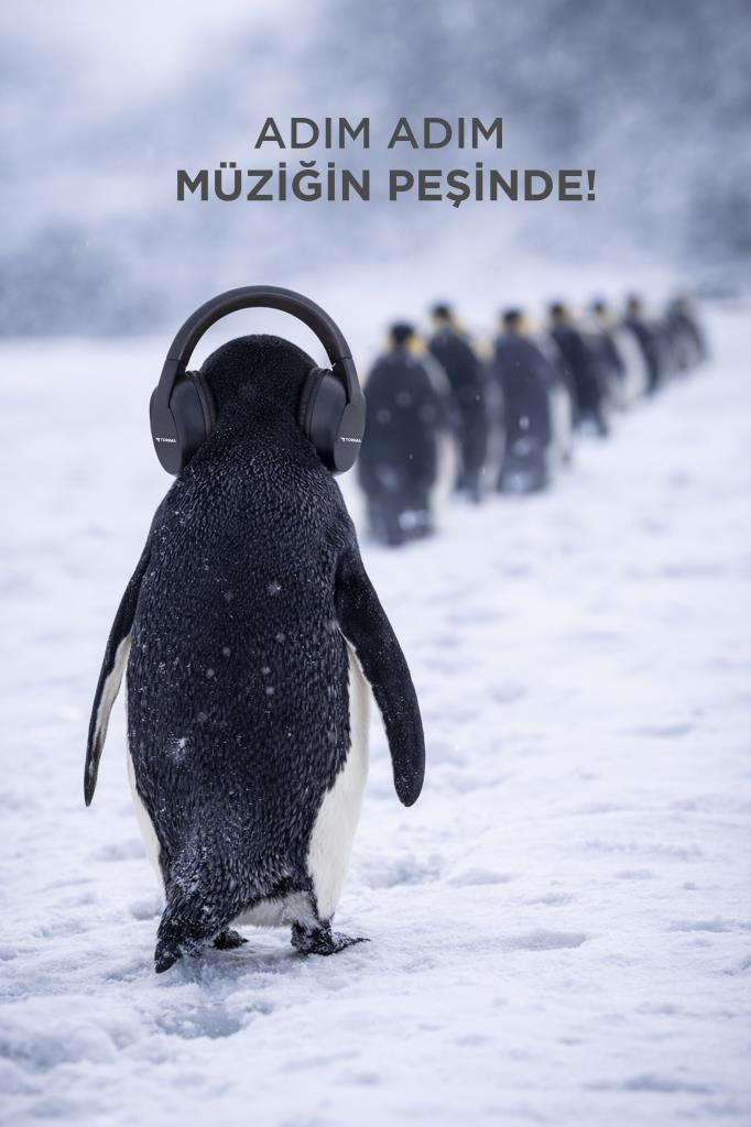 Soğukta kulaklıklı bir penguen, arkasında diğer penguenler var.