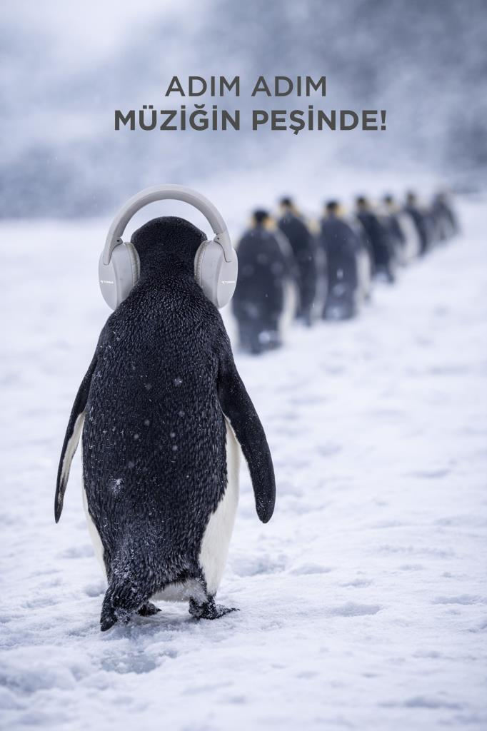 Kulaklıklı bir penguen karlı zeminde, arkasında diğer penguenler.