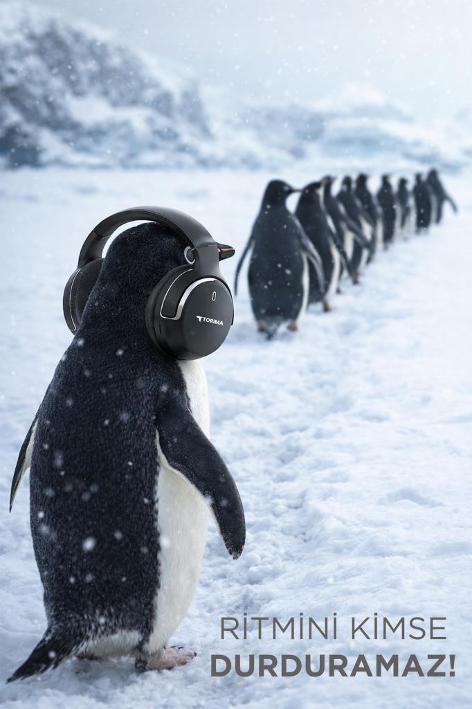 Kulaklıklı bir penguen karda duruyor, arkasında bir penguen sırası var.