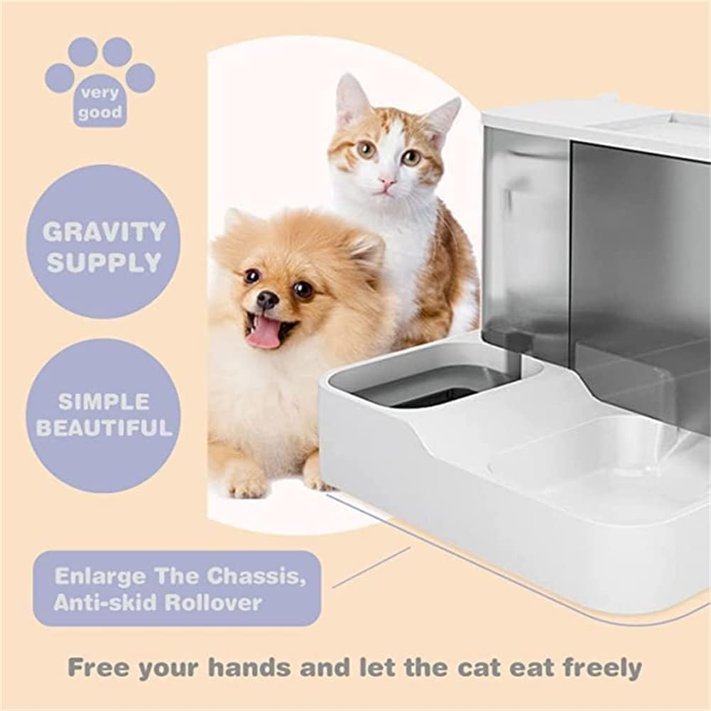 Ein Pomeranian und eine Katze stehen neben einem automatischen Tierfutterspender.