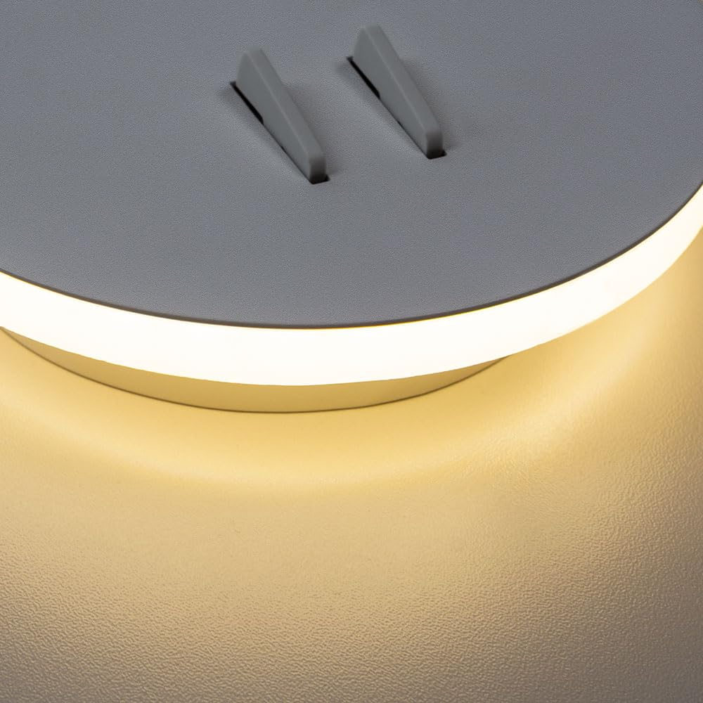 Eine moderne graue Deckenleuchte mit einem weißen LED-Lichtstreifen und zwei grauen Knöpfen.